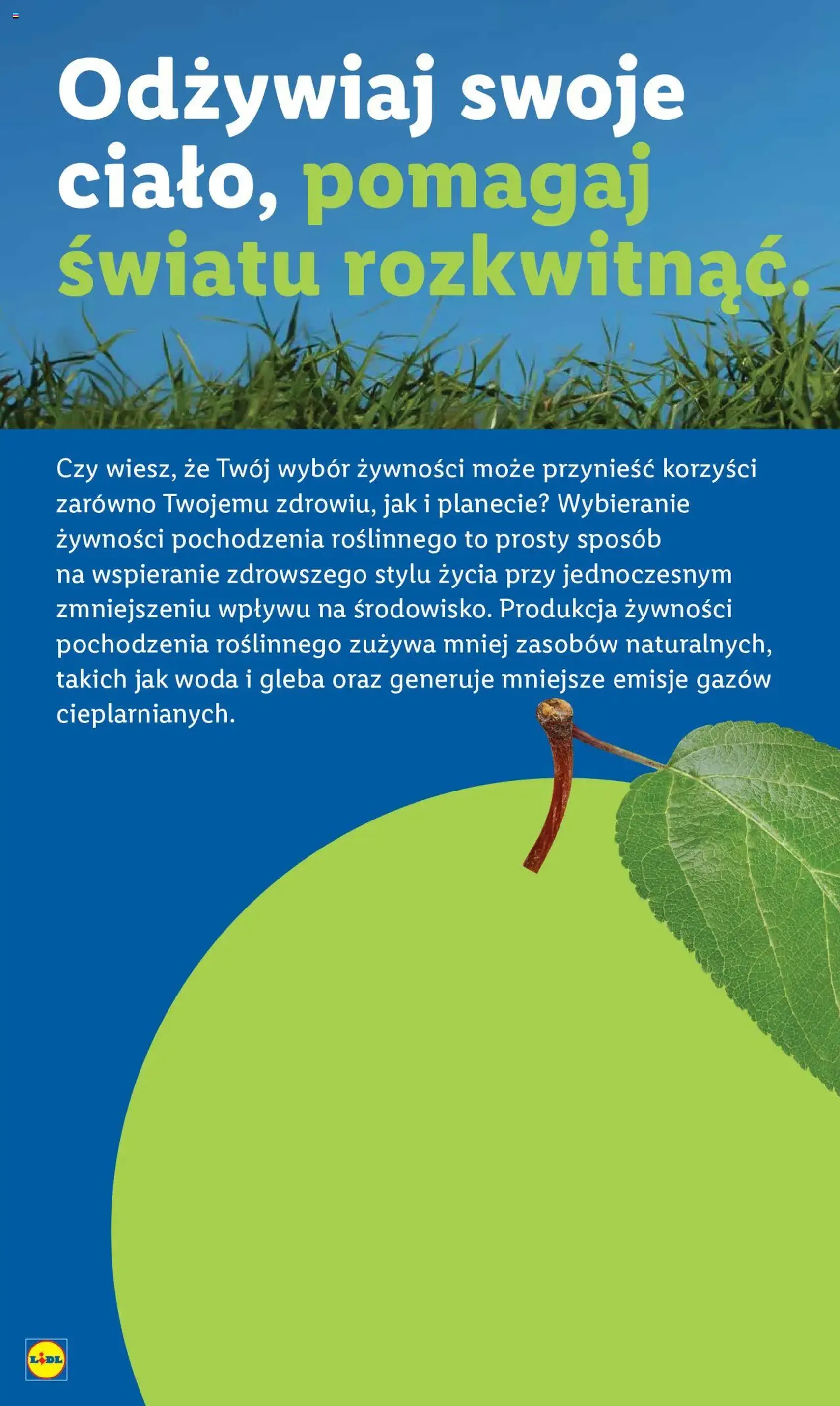 Lidl Gazetka - ważny gazetka od 28.08.2025 strona 54 z 59 Lidl Gazetka - ważny gazetka od 28.08.2025 strona 54 z 59