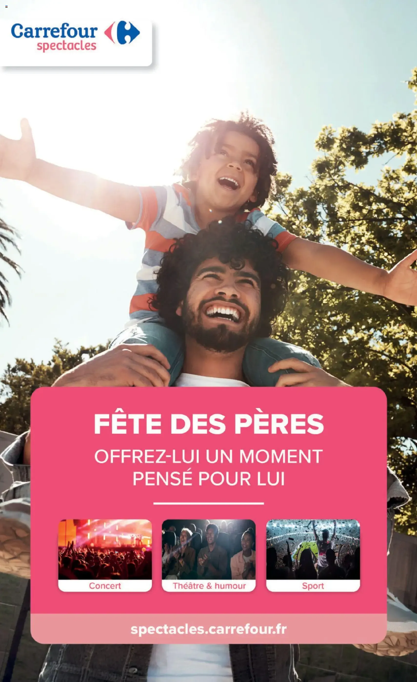 Carrefour catalogue - brochure valable à partir du 09/06/2026, page 106 sur 109