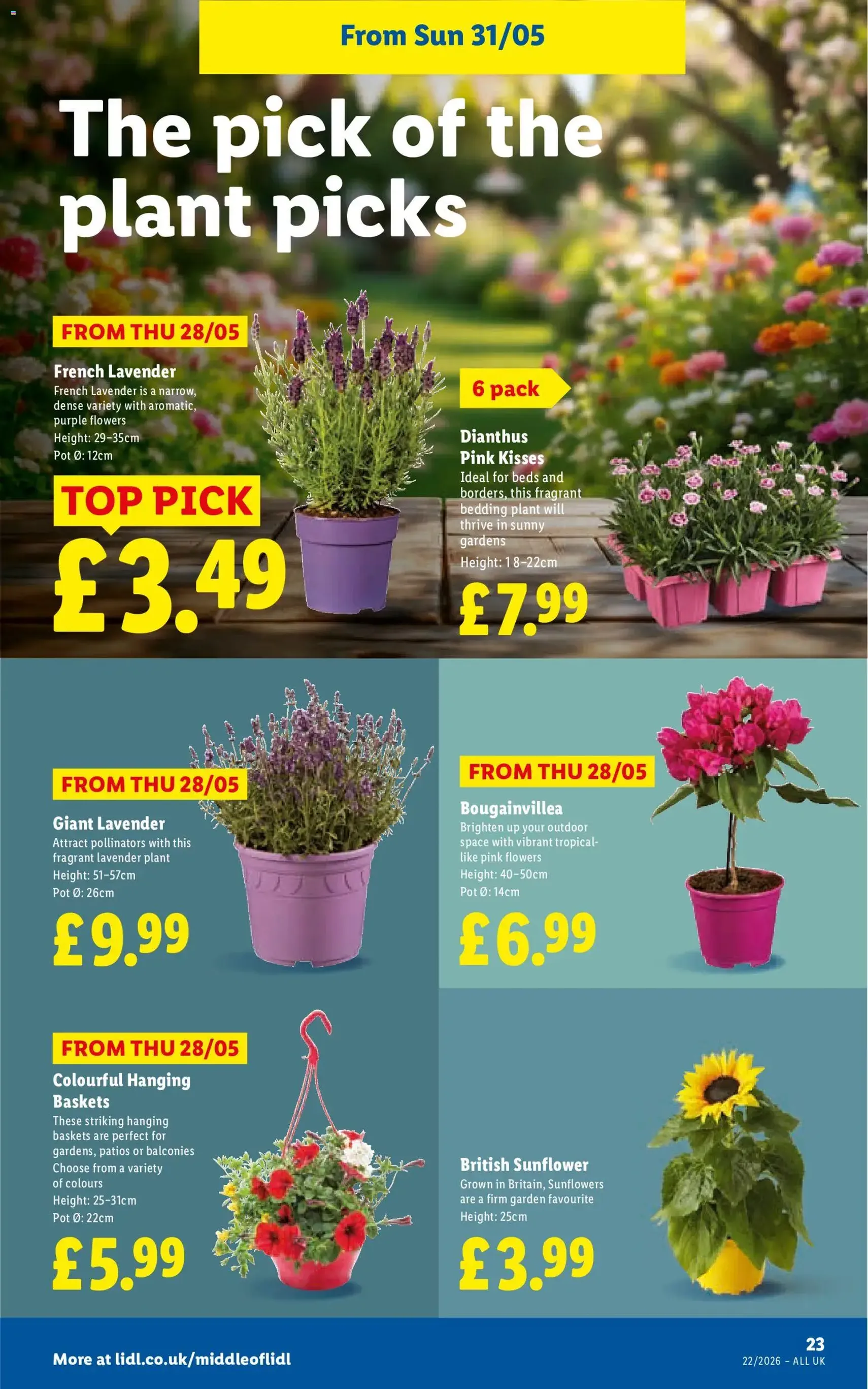 Lidl - Lidl Weekly - valid flyer from 28/05/2026, page 23 of 26
