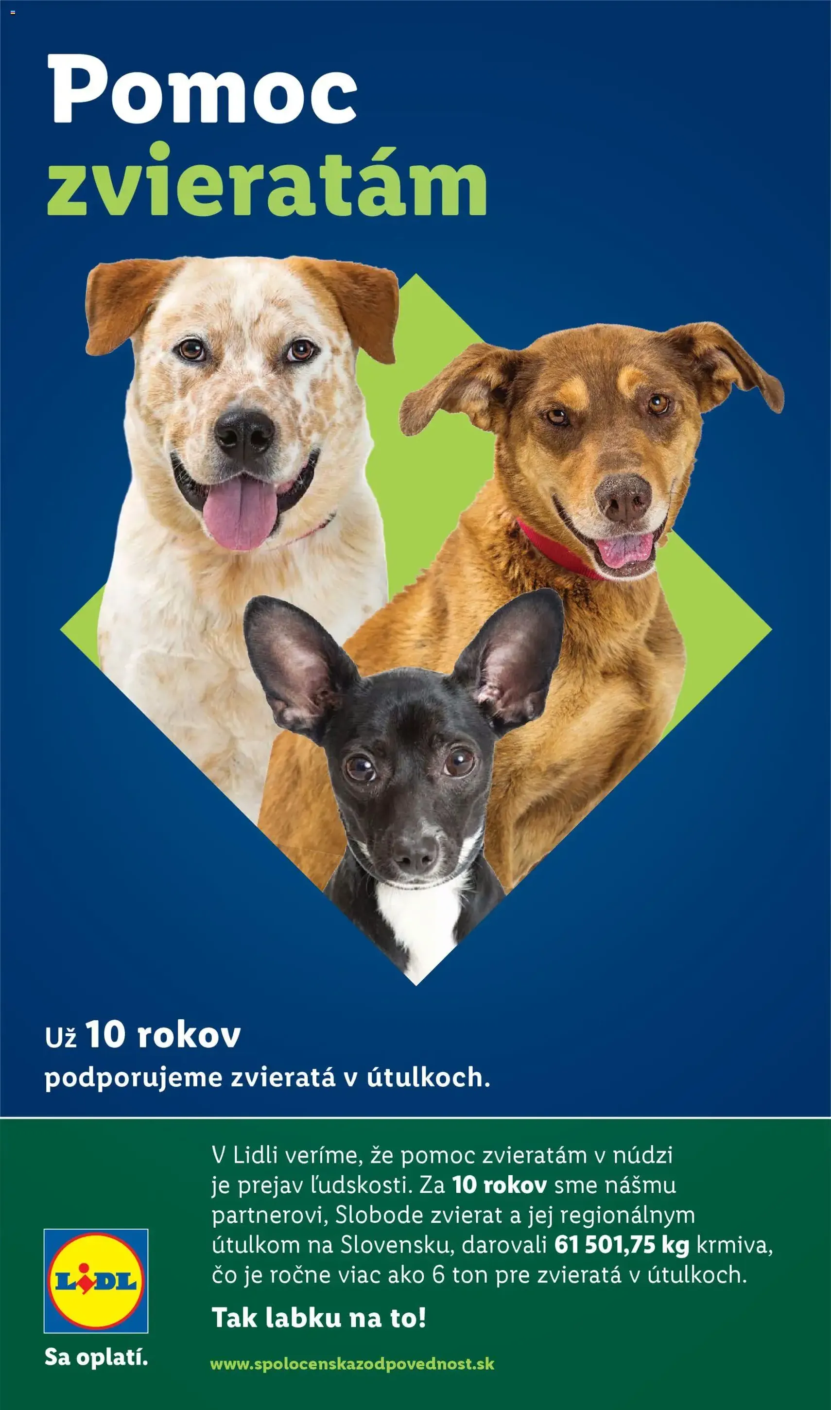 Lidl leták - platný leták od 05.02.2026 strana 49 z 96