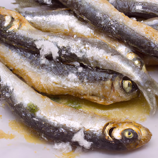 Anteprima ricetta Alici al Forno