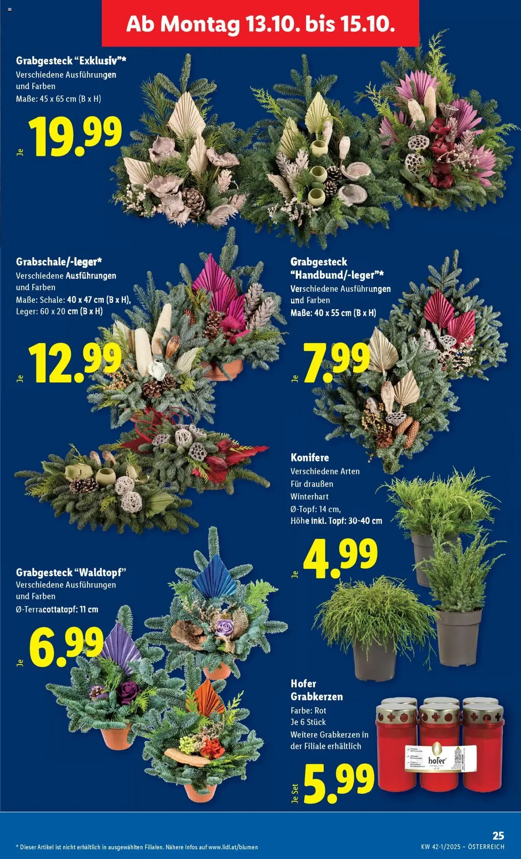 Lidl Flugblatt - - Gültiger Prospekt ab 09.10.2025, Seite 31 von insgesamt 48