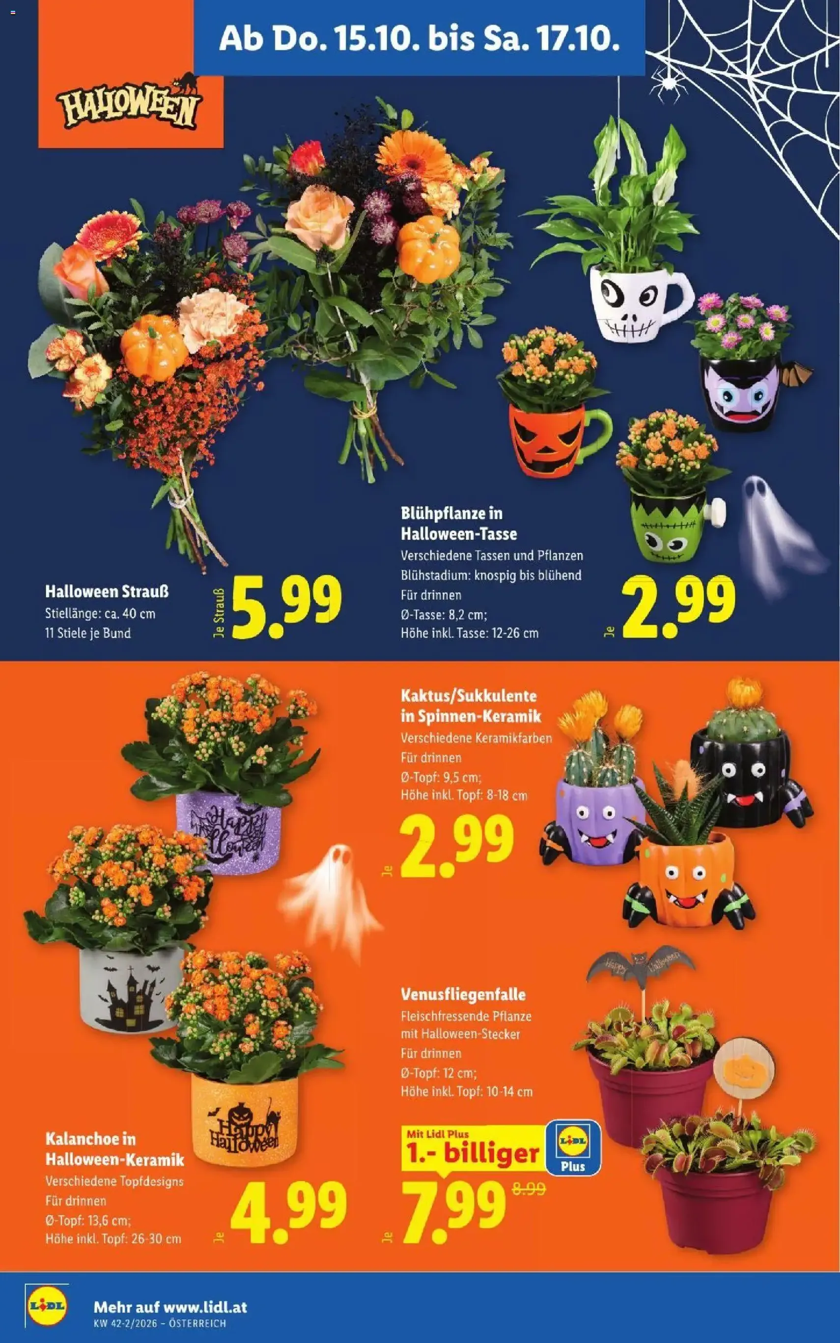 Lidl Flugblatt - Gültiger Prospekt ab 15.10.2026, Seite 24 von insgesamt 56