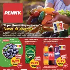 PENNY Catalog - previzualizare cataloage valabilă începând cu 29.07.2026
