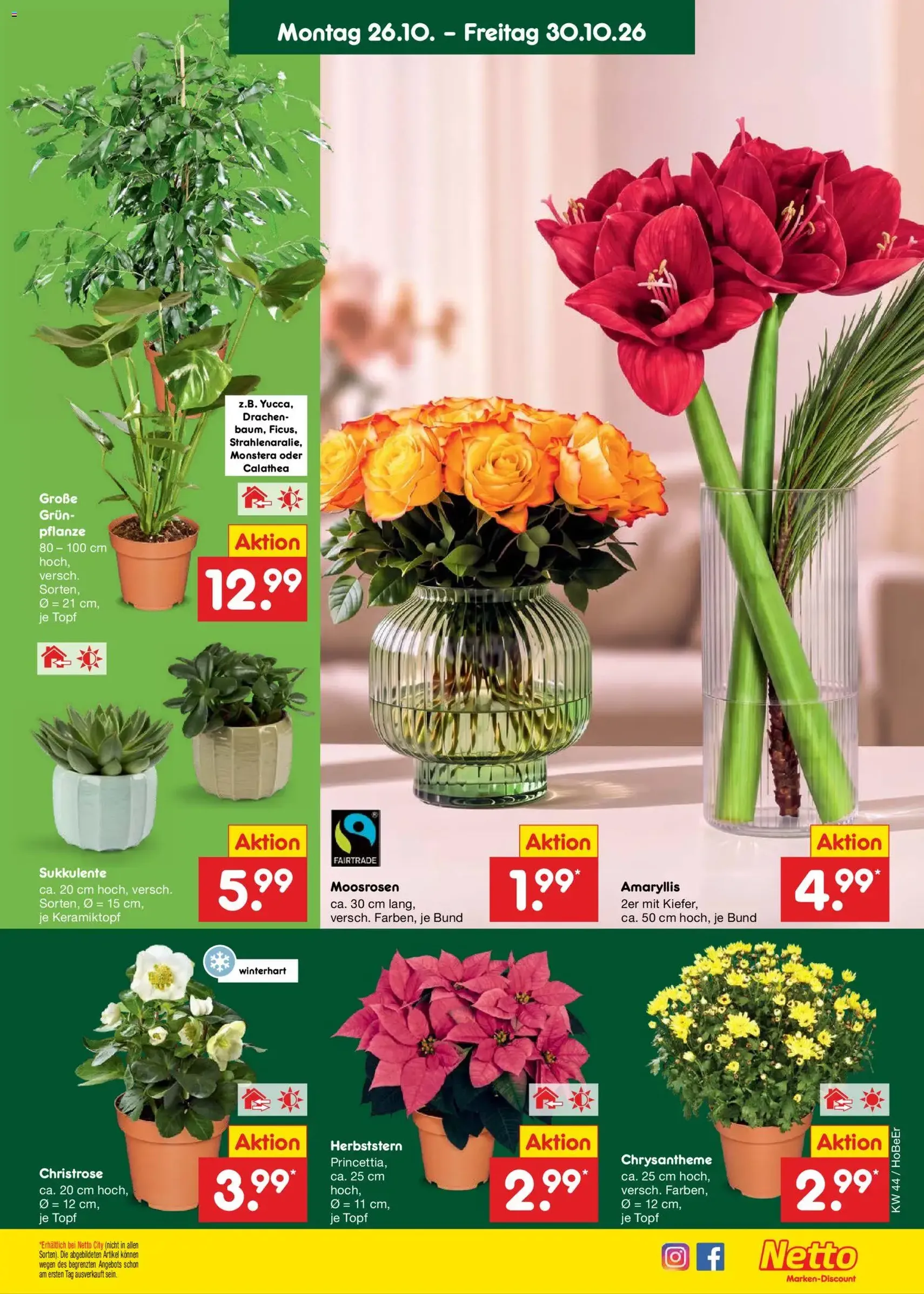 Netto Marken-Discount Prospekt - Gültiger Prospekt ab 26.10.2026, Seite 11 von insgesamt 71