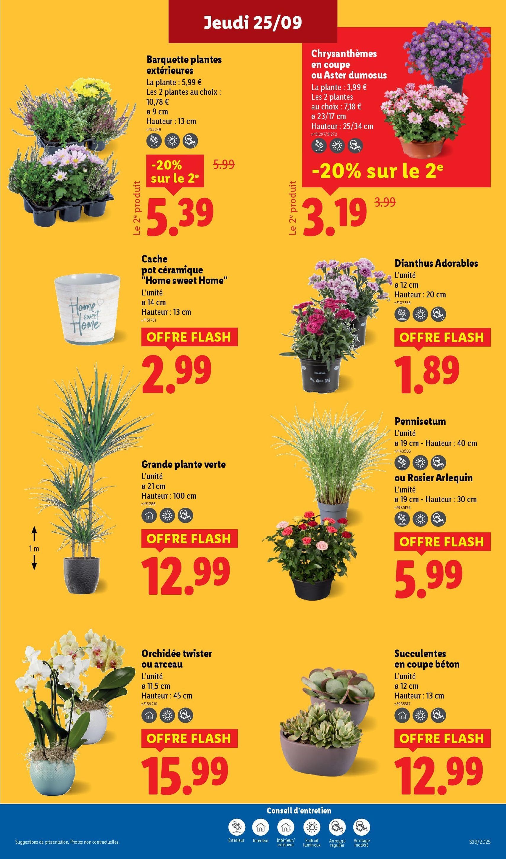 LIDL catalogue semaine 39 - brochure valable à partir du 25/09/2025, page 27 sur 73