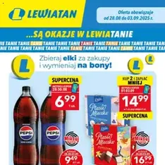 Lewiatan gazetka - podgląd gazetki ważnej od 28.08.2025