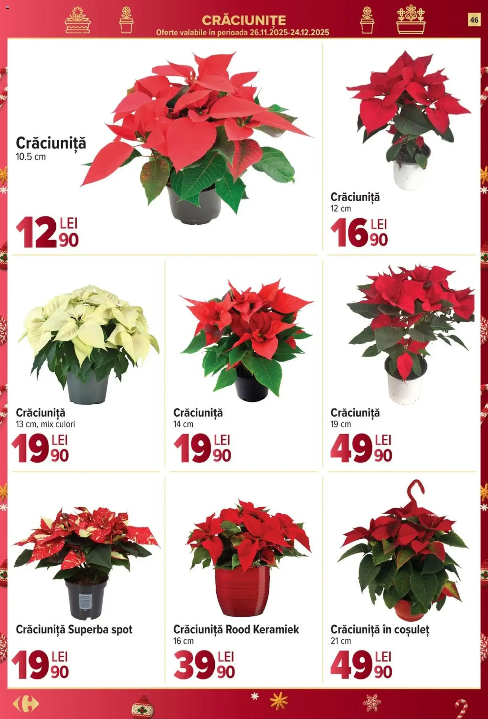 Catalog Carrefour - cataloage valabile începând cu 10.12.2025 pagina 46 din 70