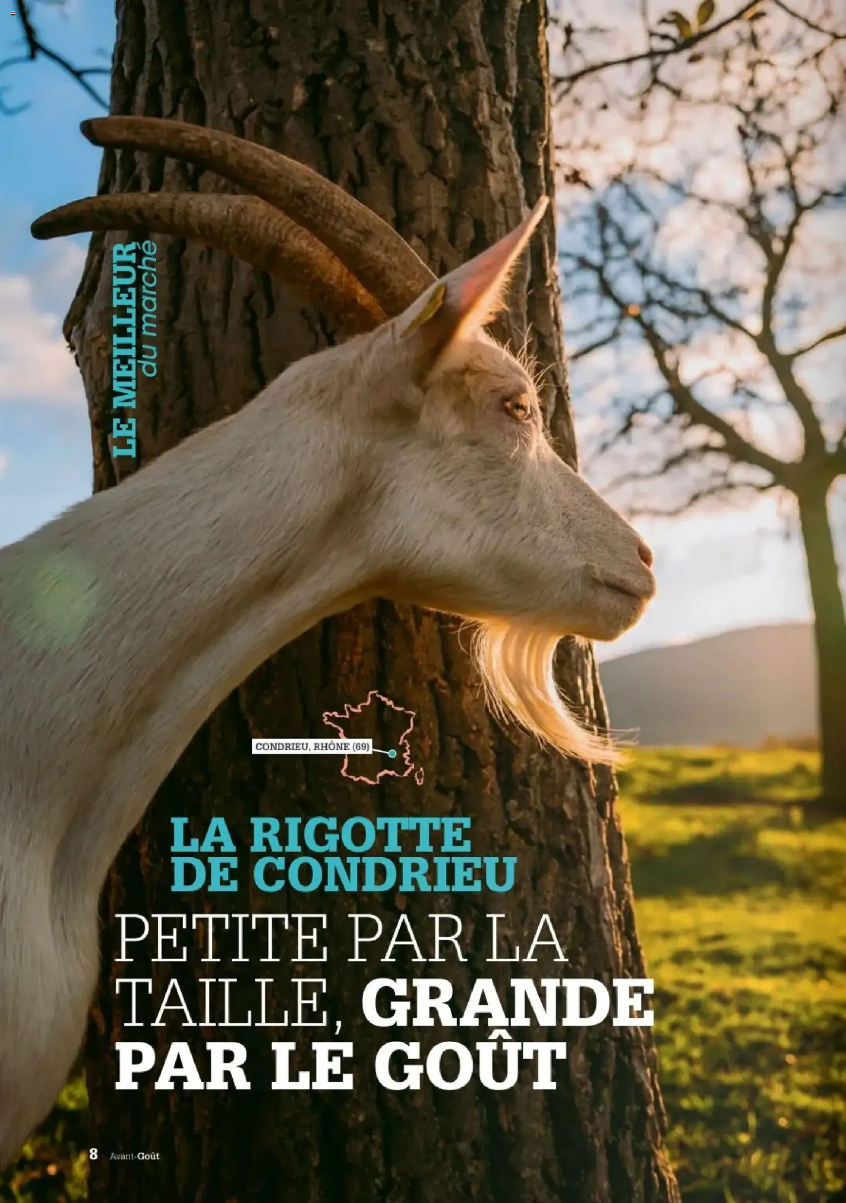 Grand Frais catalogue - brochure valable à partir du 02/06/2026, page 2 sur 70