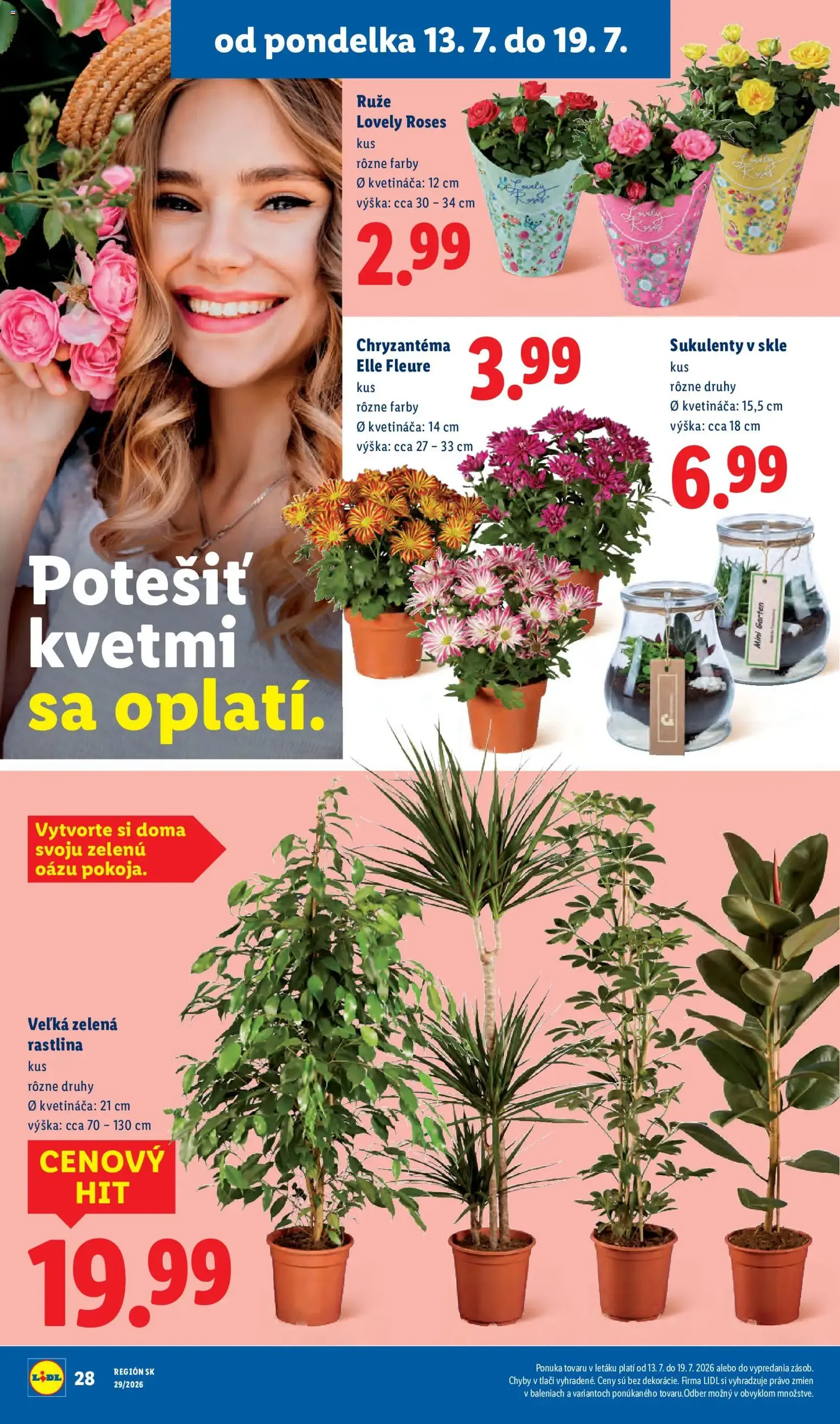 Lidl leták - platný leták od 13.07.2026 strana 37 z 94