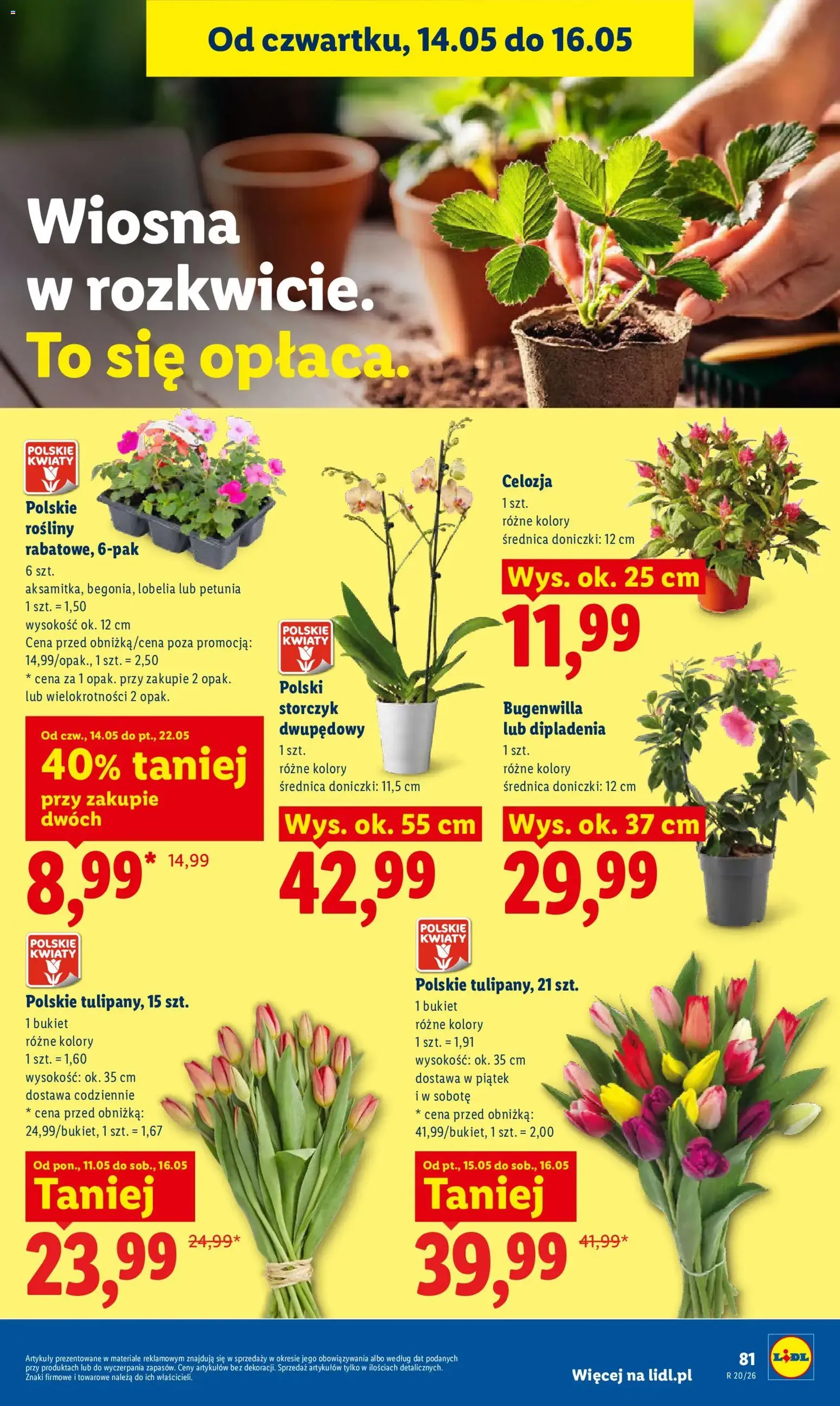 Lidl gazetka - ważny gazetka od 14.05.2026 strona 87 z 90