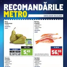 Catalog Metro - previzualizare cataloage valabilă începând cu 29.09.2025