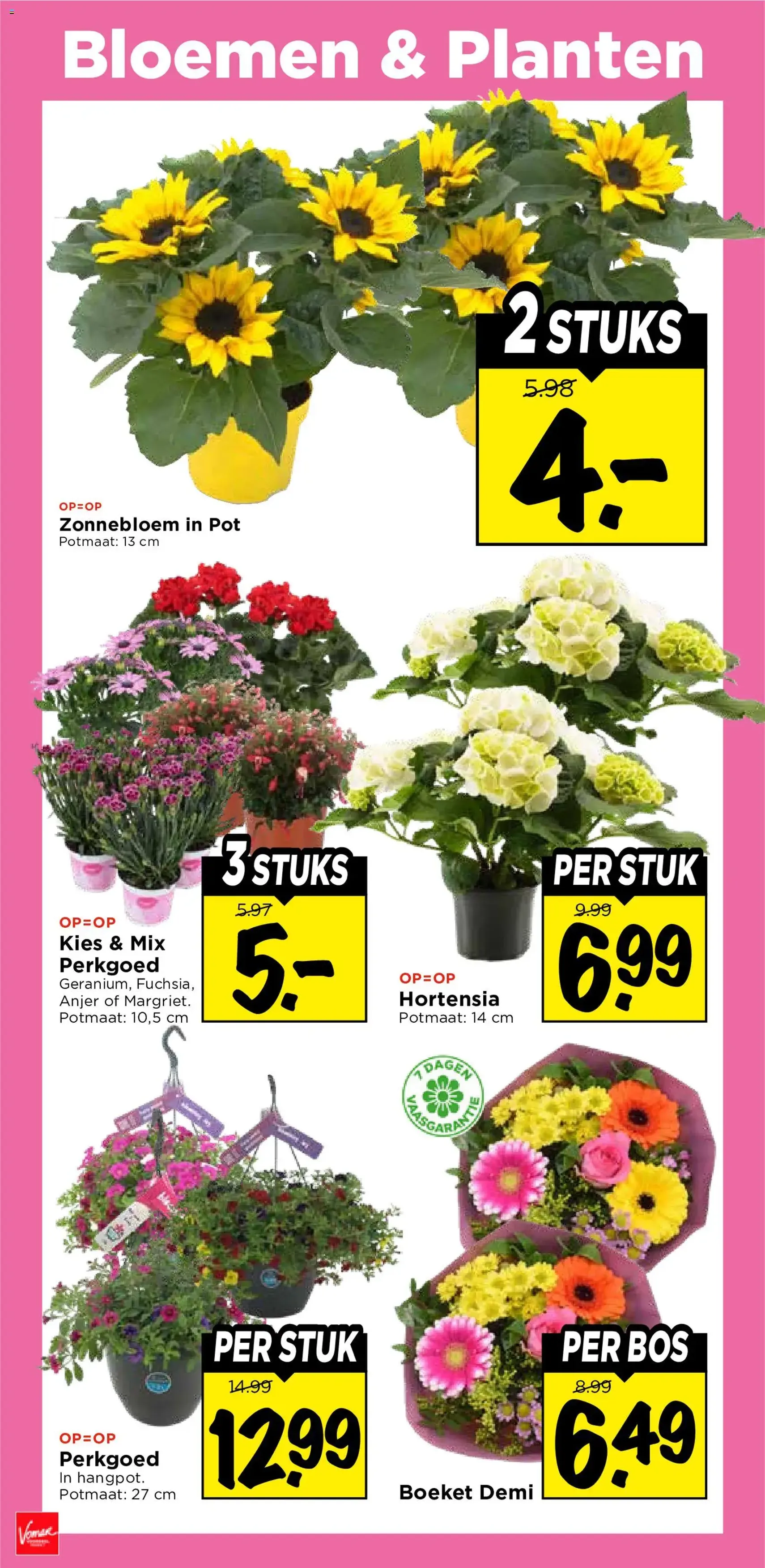 Vomar folder - geldige folder vanaf 17-05-2026 pagina 28 van 41