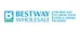 Logo Bestway