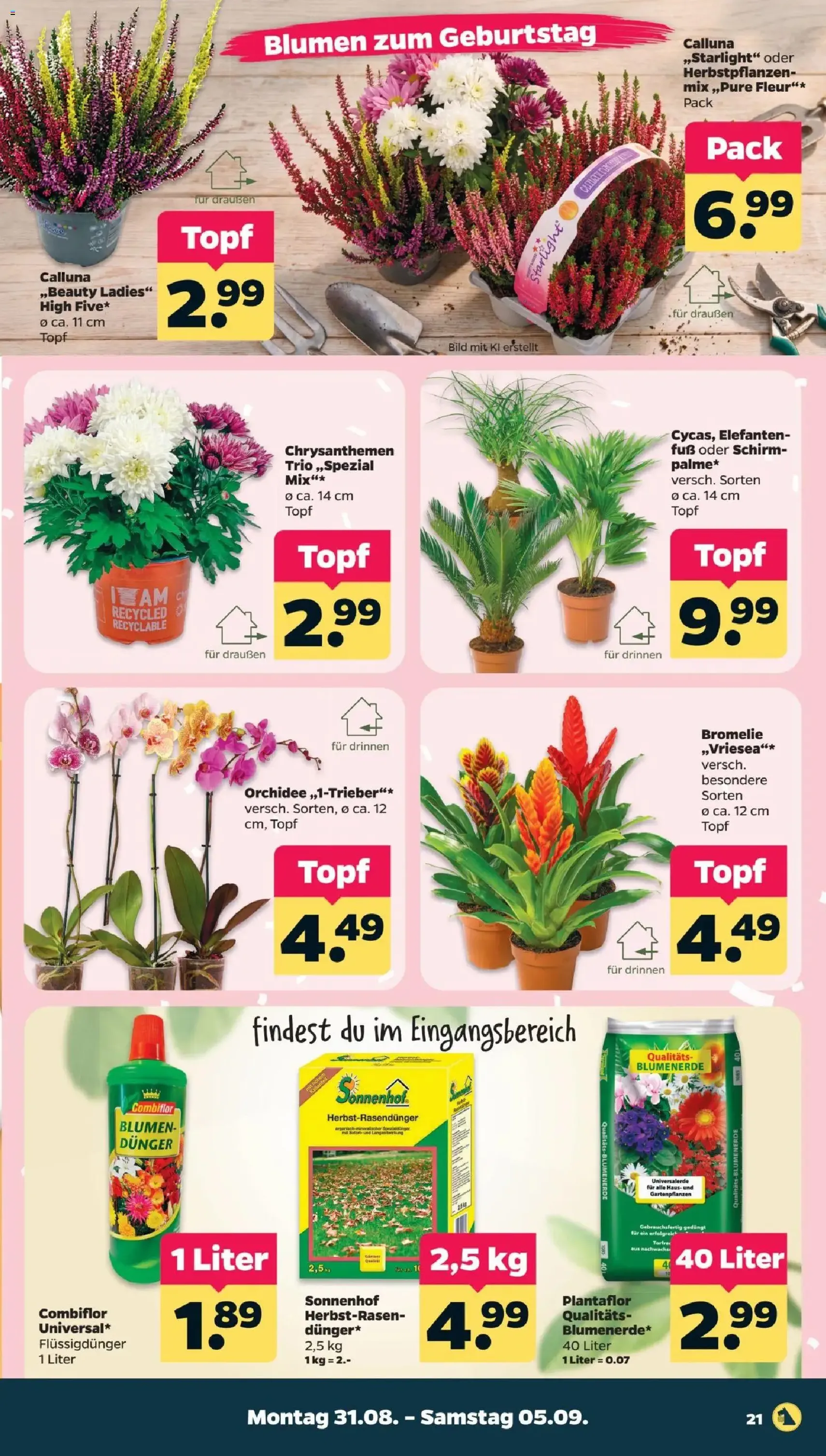 Netto Prospekt - Gültiger Prospekt ab 31.08.2026, Seite 23 von insgesamt 49
