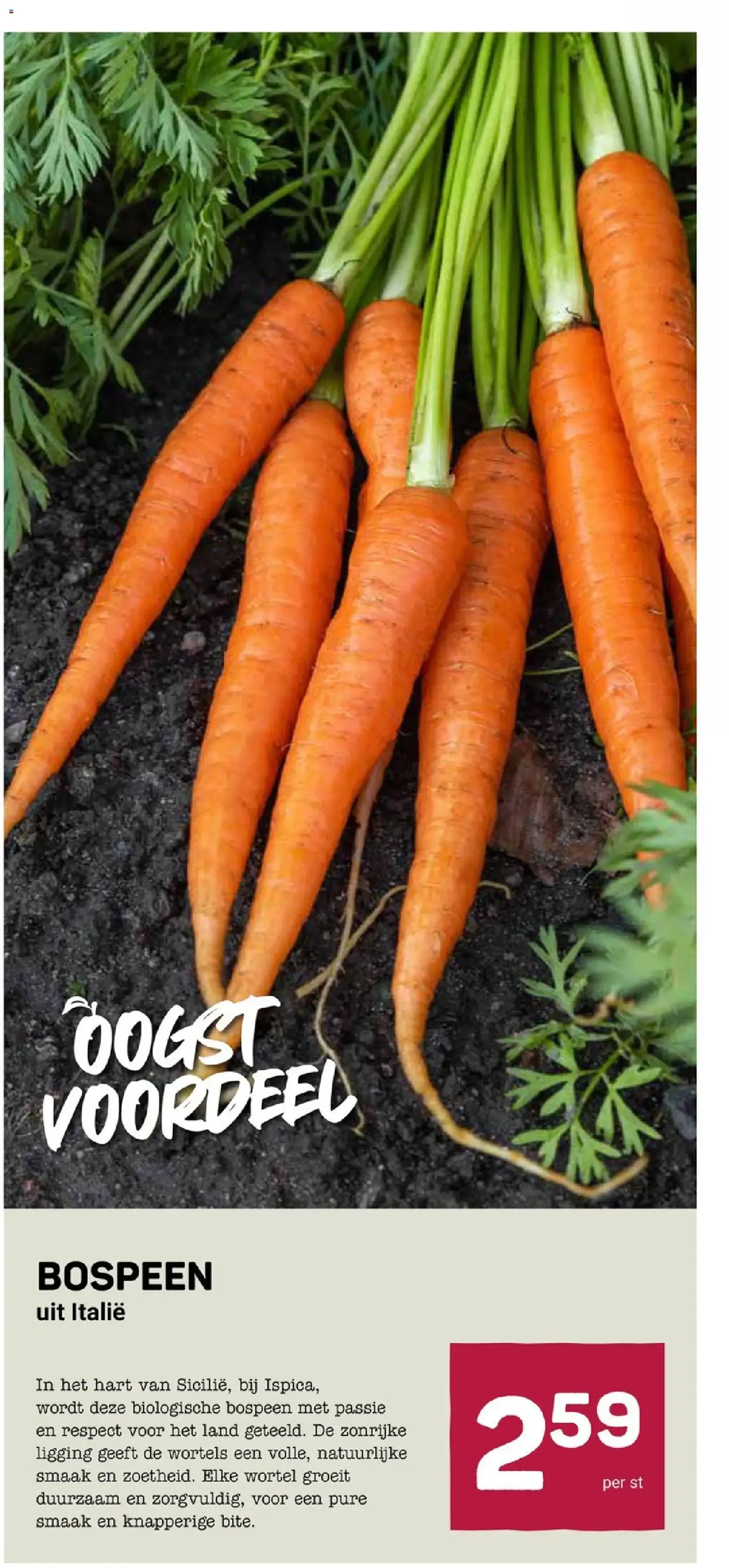 Ekoplaza - Folder week 6 - geldige folder vanaf 04-02-2026 pagina 10 van 20