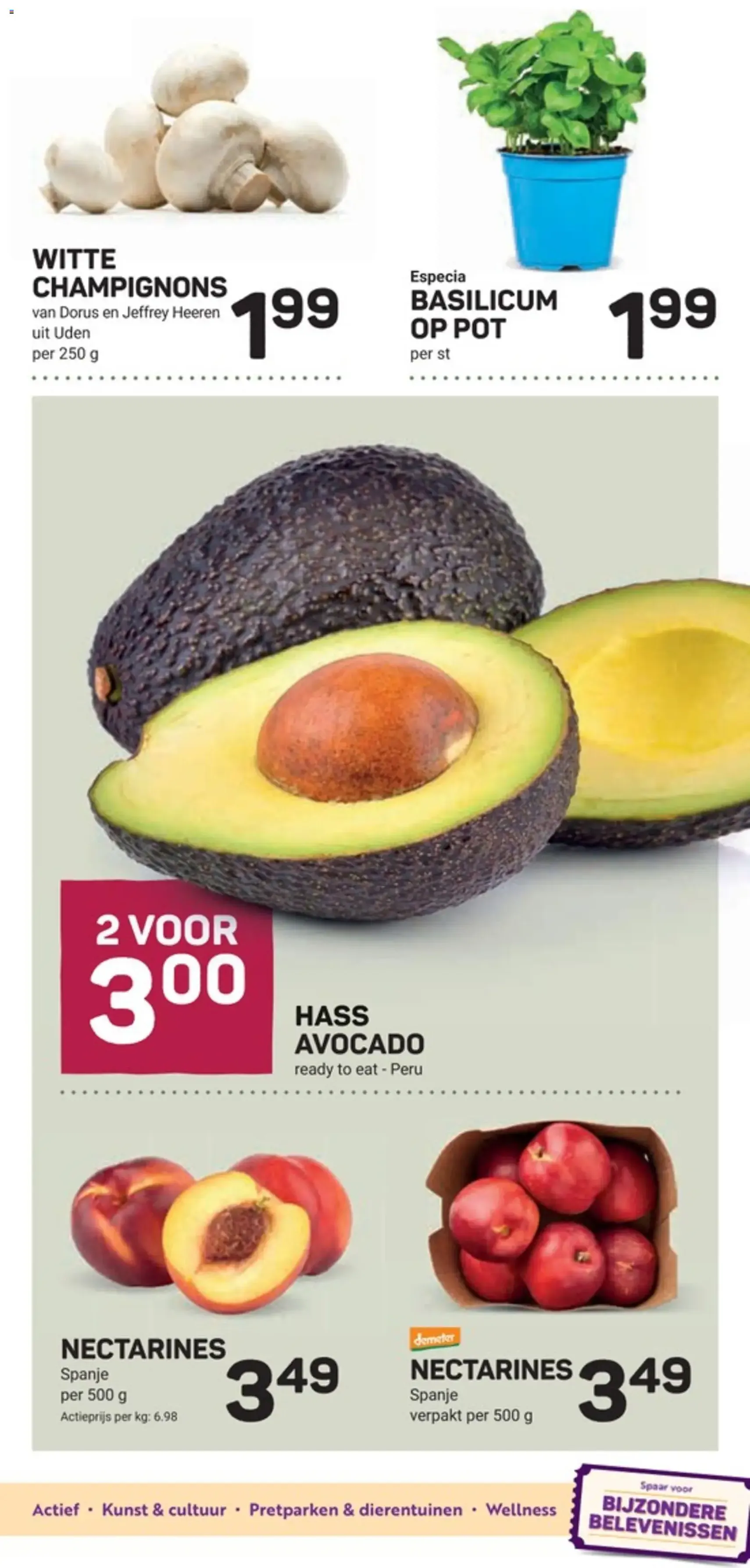 Ekoplaza folder - geldige folder vanaf 15-07-2026 pagina 9 van 22