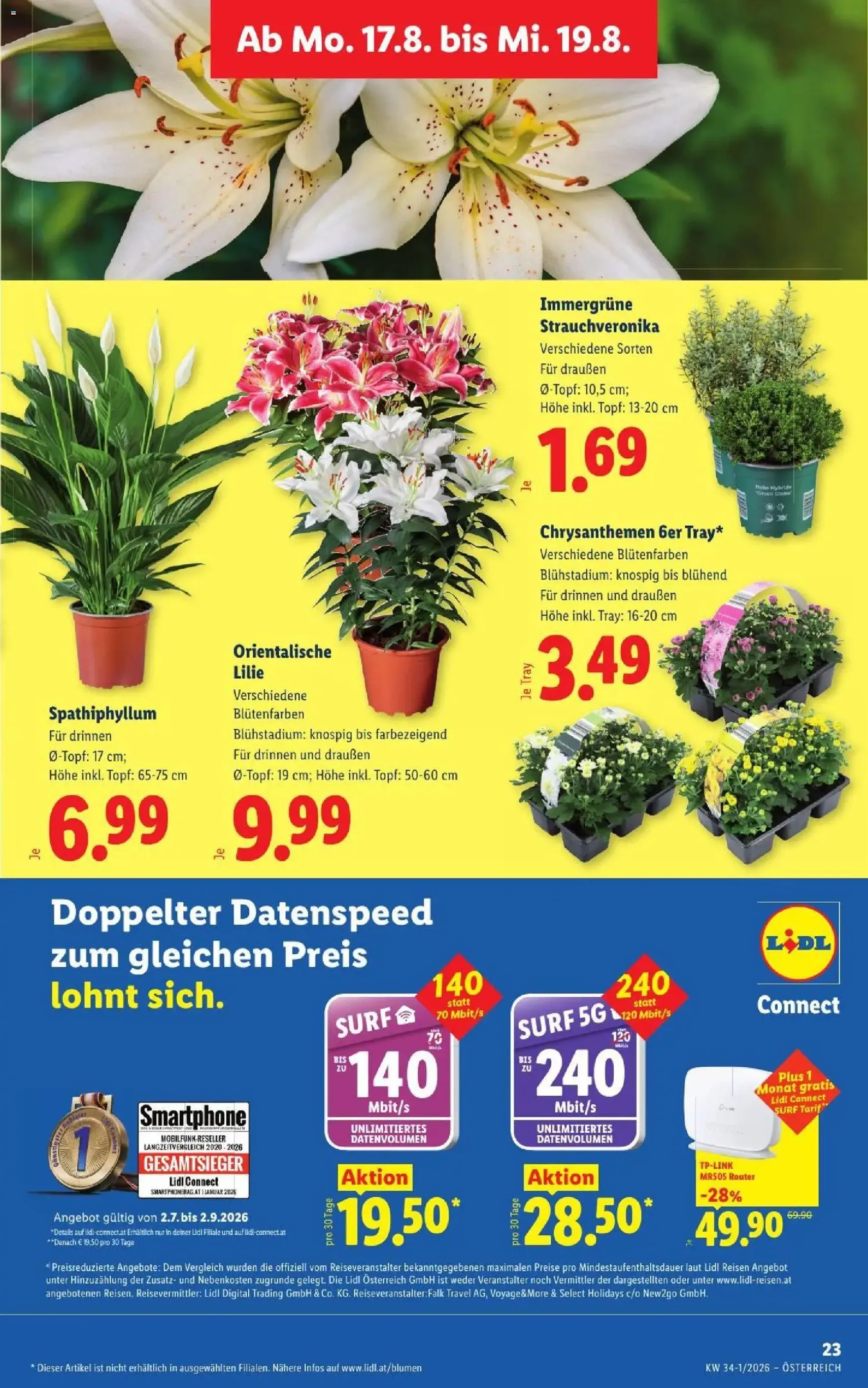 Lidl - Flugblatt - Gültiger Prospekt ab 13.08.2026, Seite 30 von insgesamt 51