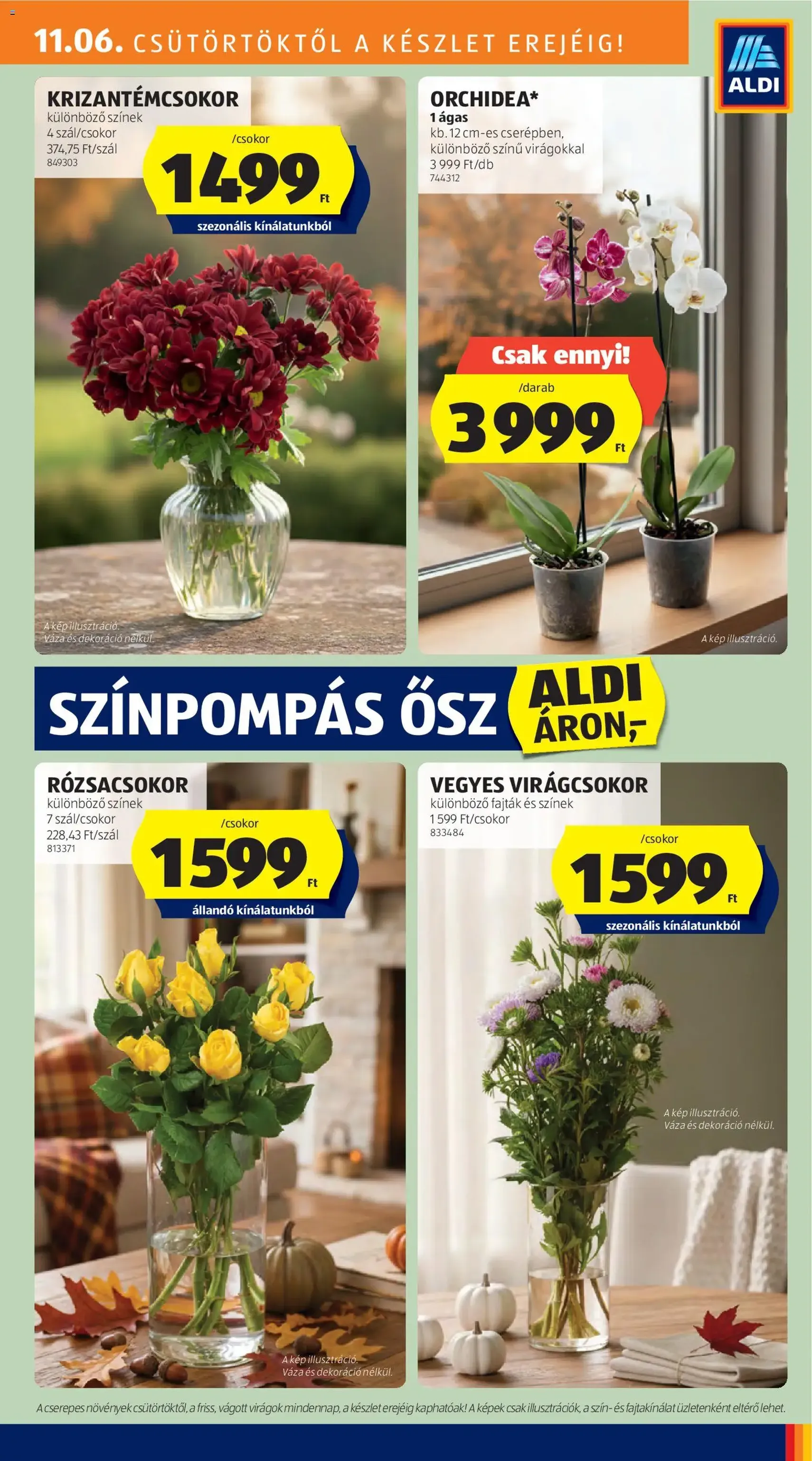 Aldi Akciós újság - 2025.11.06. érvényes szórólap 31 oldal 56 oldalból