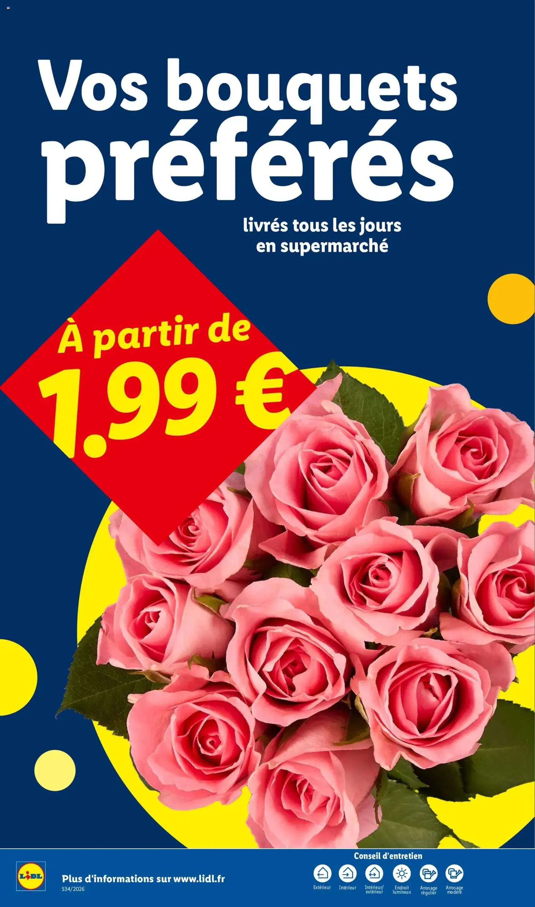 LIDL catalogue - brochure valable à partir du 20/08/2026, page 34 sur 54