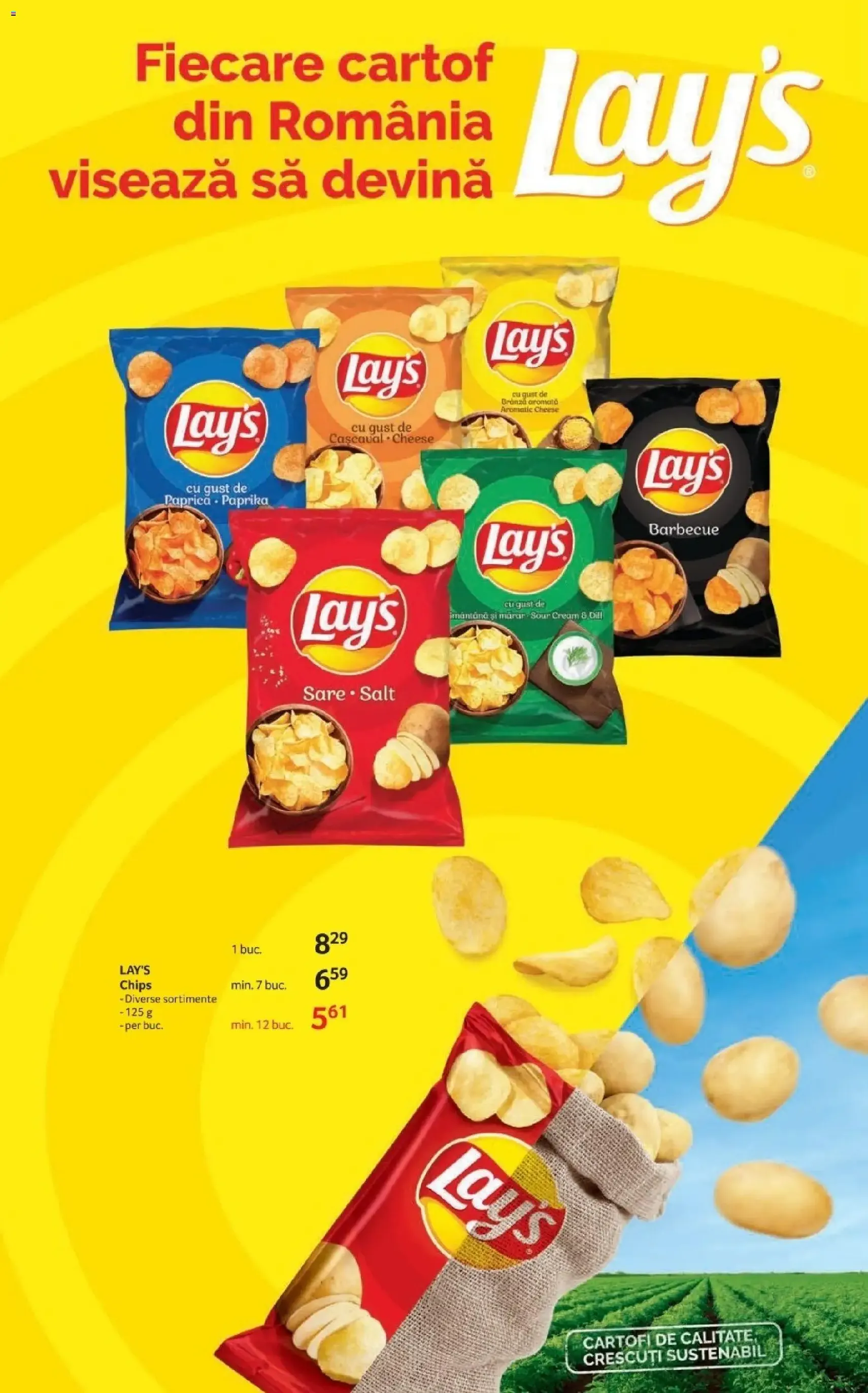 Catalog Selgros - cataloage valabile începând cu 23.01.2026 pagina 13 din 22