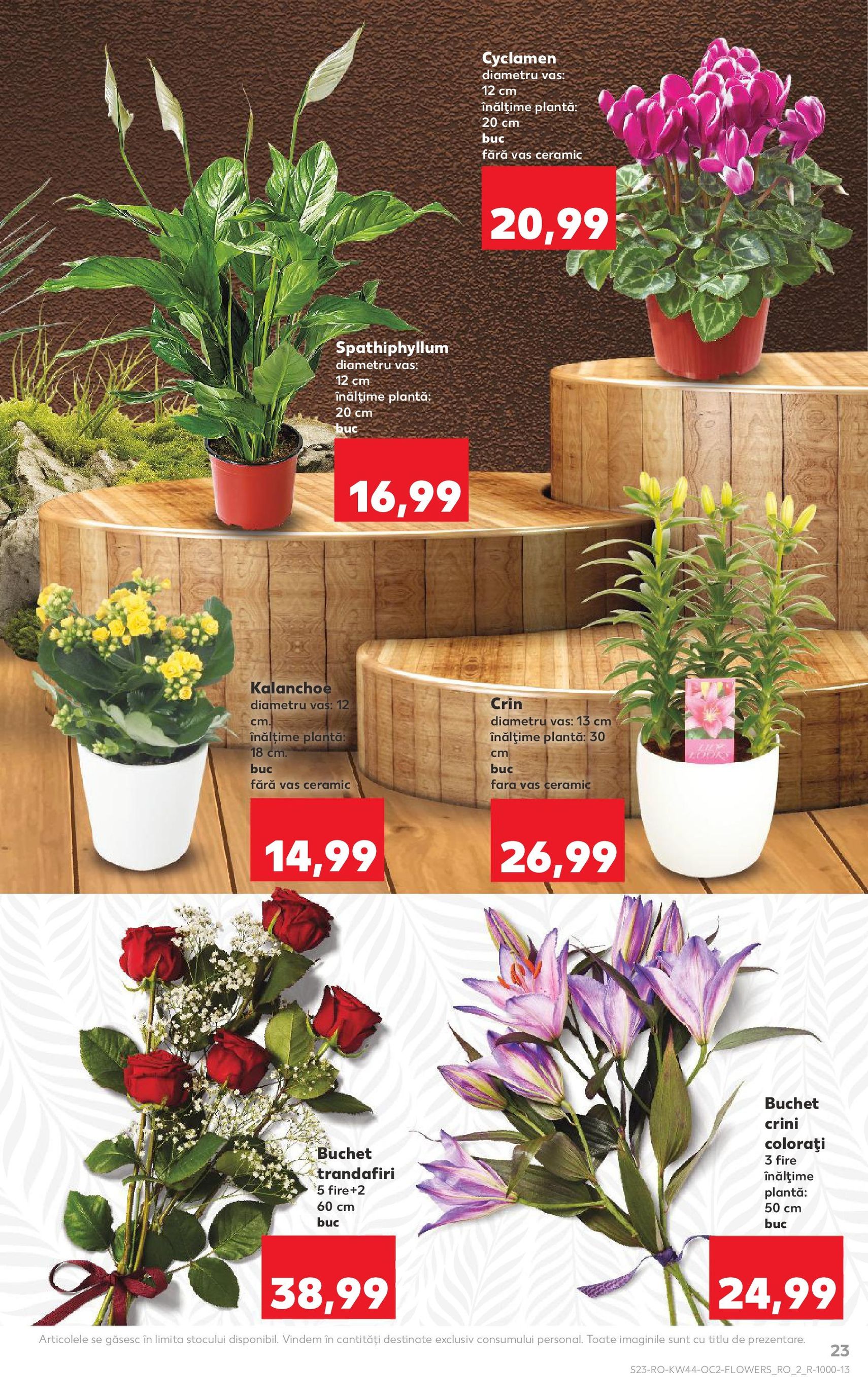 Catalog Kaufland - Bucureşti - cataloage valabile începând cu 29.10.2025 pagina 23 din 70 Catalog Kaufland - Bucureşti - cataloage valabile începând cu 29.10.2025 pagina 23 din 70