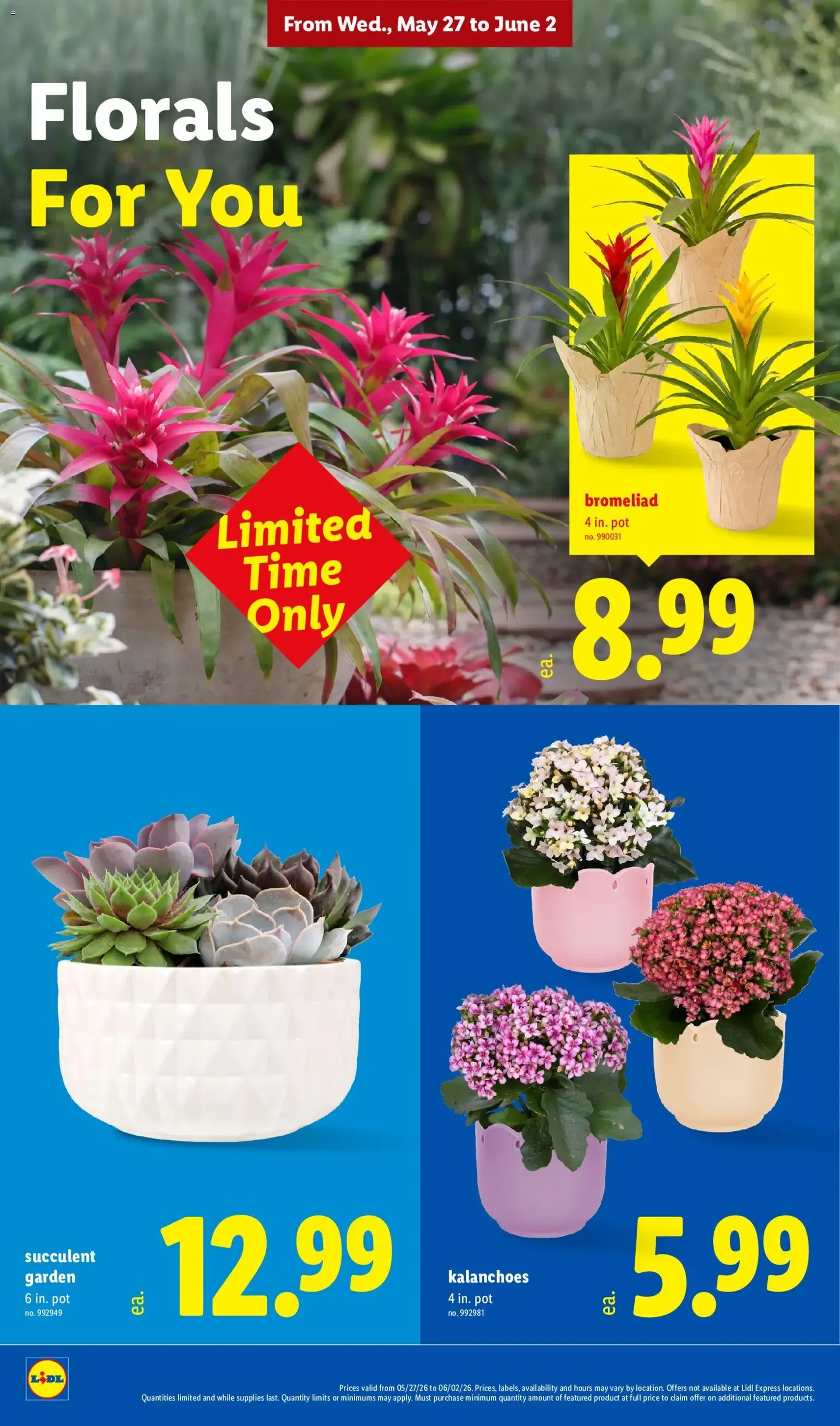 Lidl Weekly Ad - valid flyer from 05/27/2026, page 30 of 40