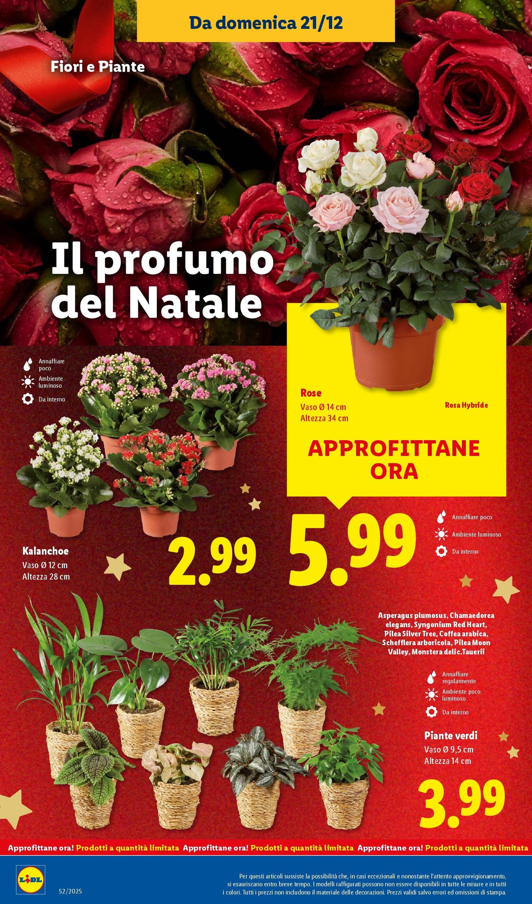 Volantino Lidl - volantino valido dal 21/12/2025 pagina 40 di 54