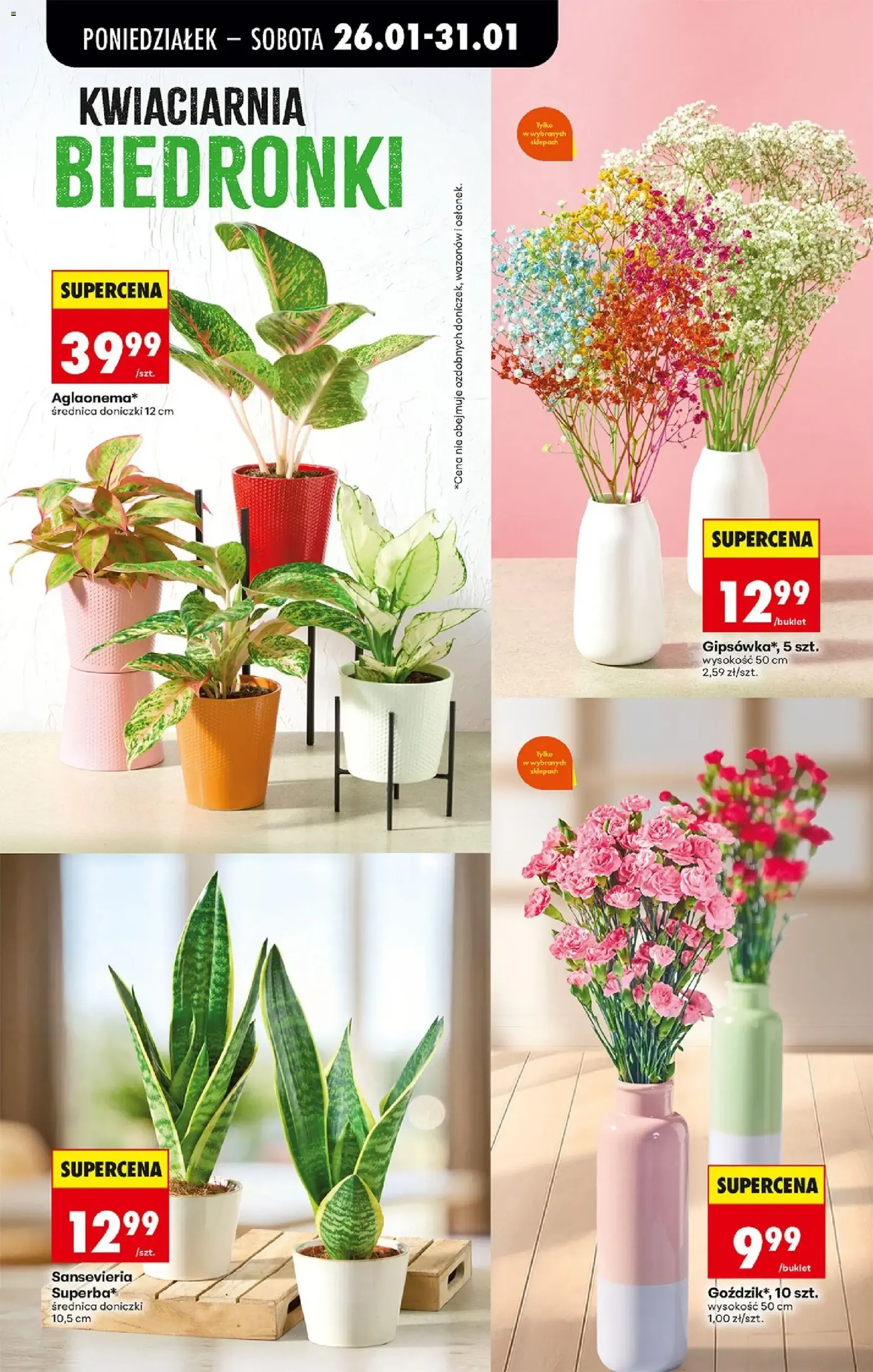 Biedronka gazetka - ważny gazetka od 26.01.2026 strona 25 z 74