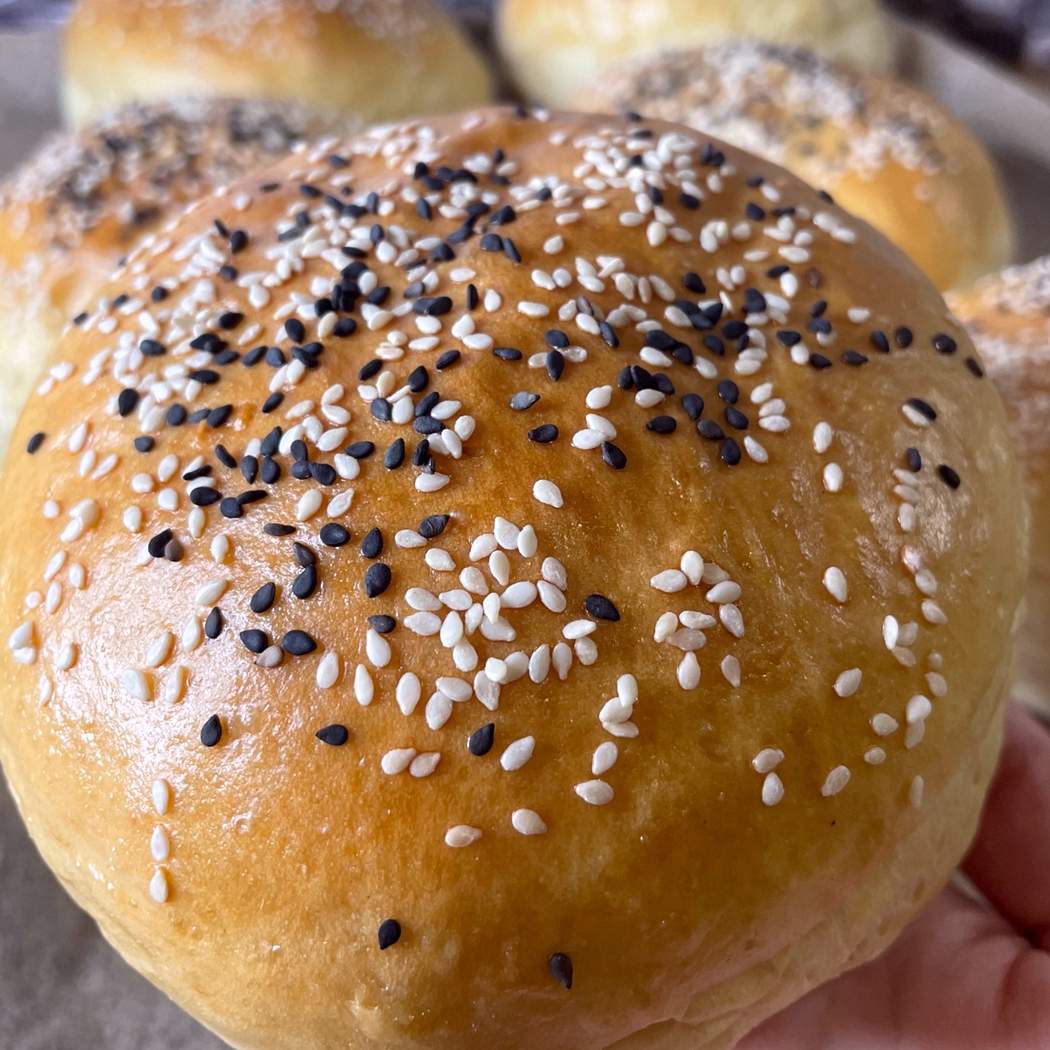 Panini per hamburger