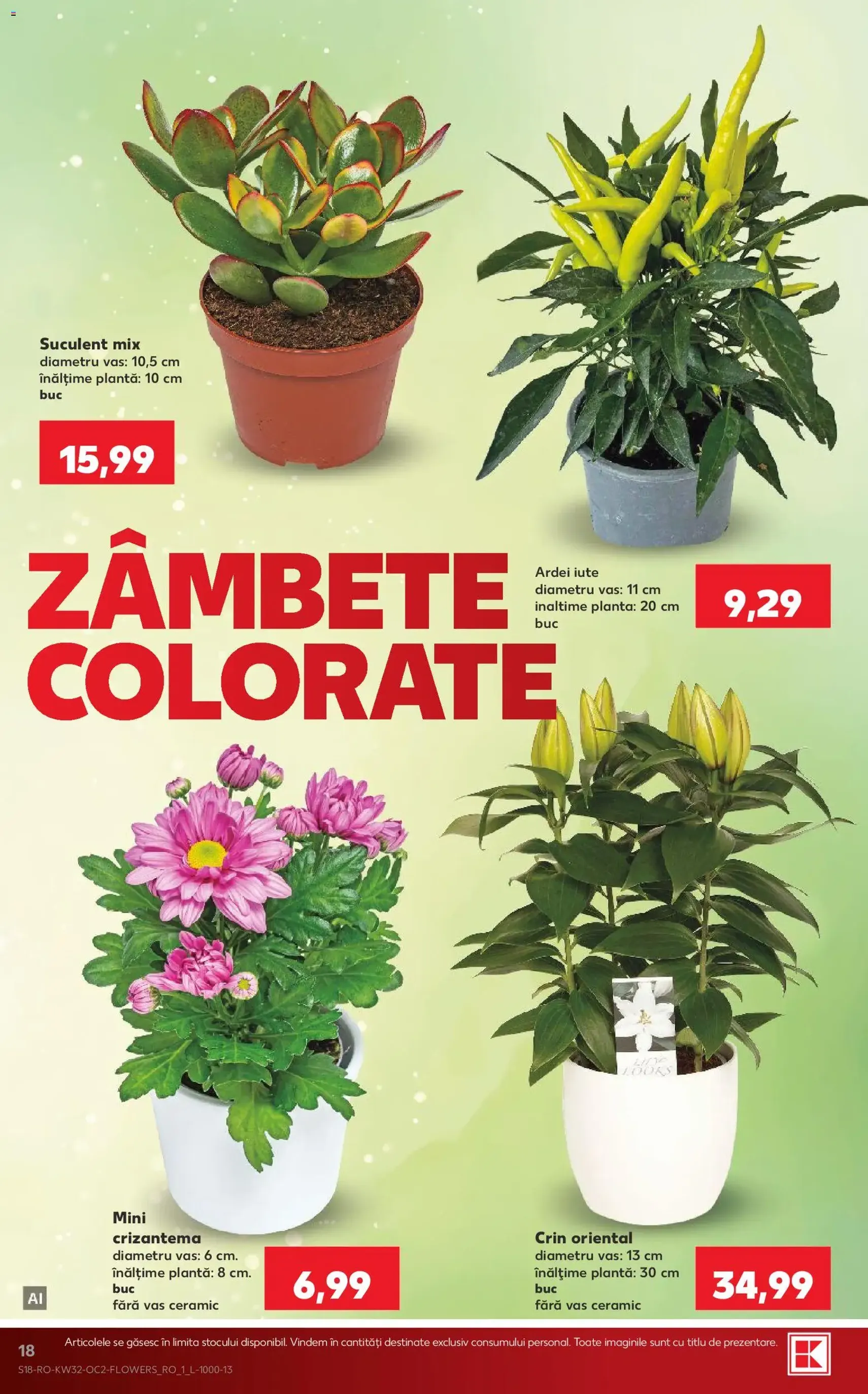 Kaufland Catalog - cataloage valabile începând cu 05.08.2026 pagina 18 din 72