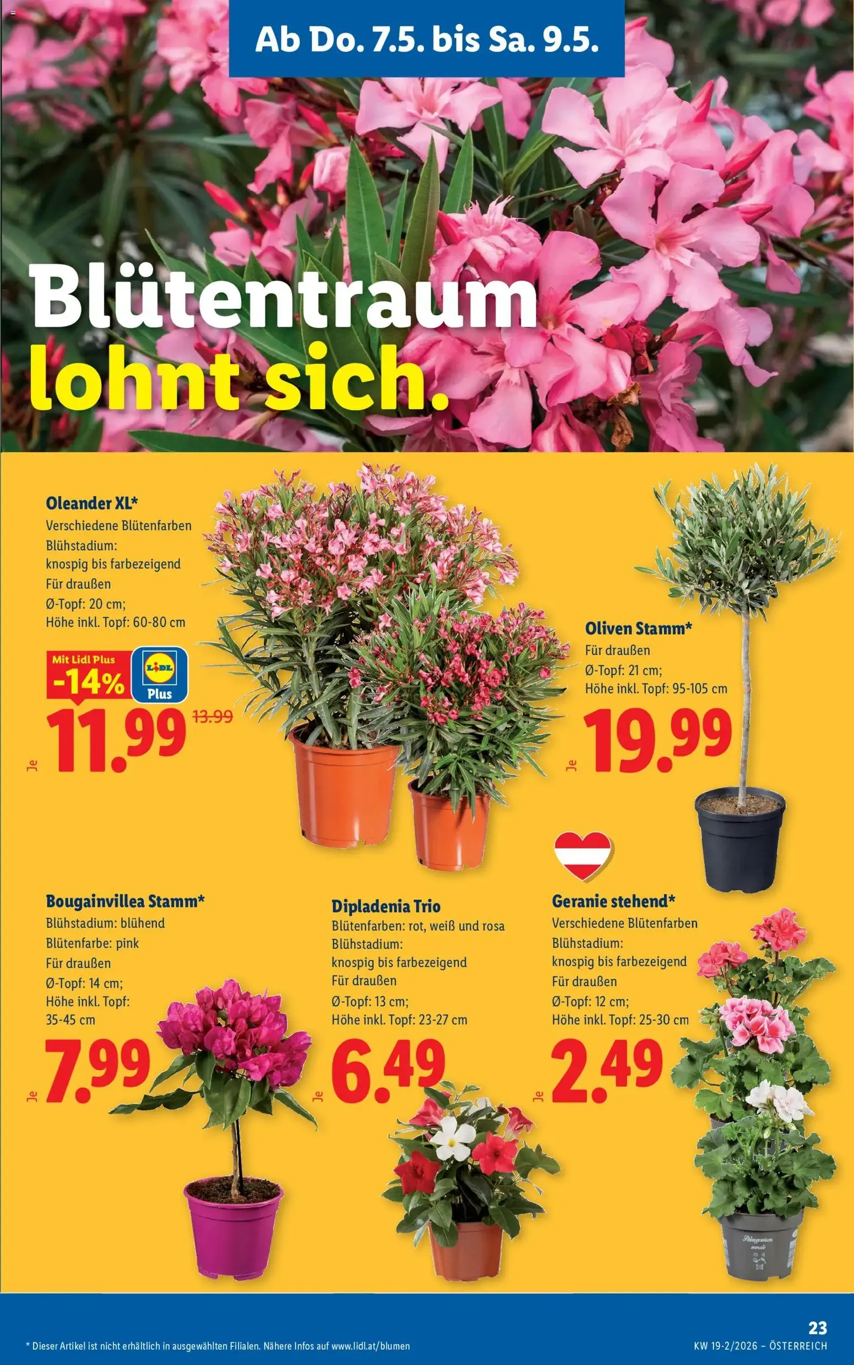 Lidl - Flugblatt - Gültiger Prospekt ab 06.05.2026, Seite 25 von insgesamt 51