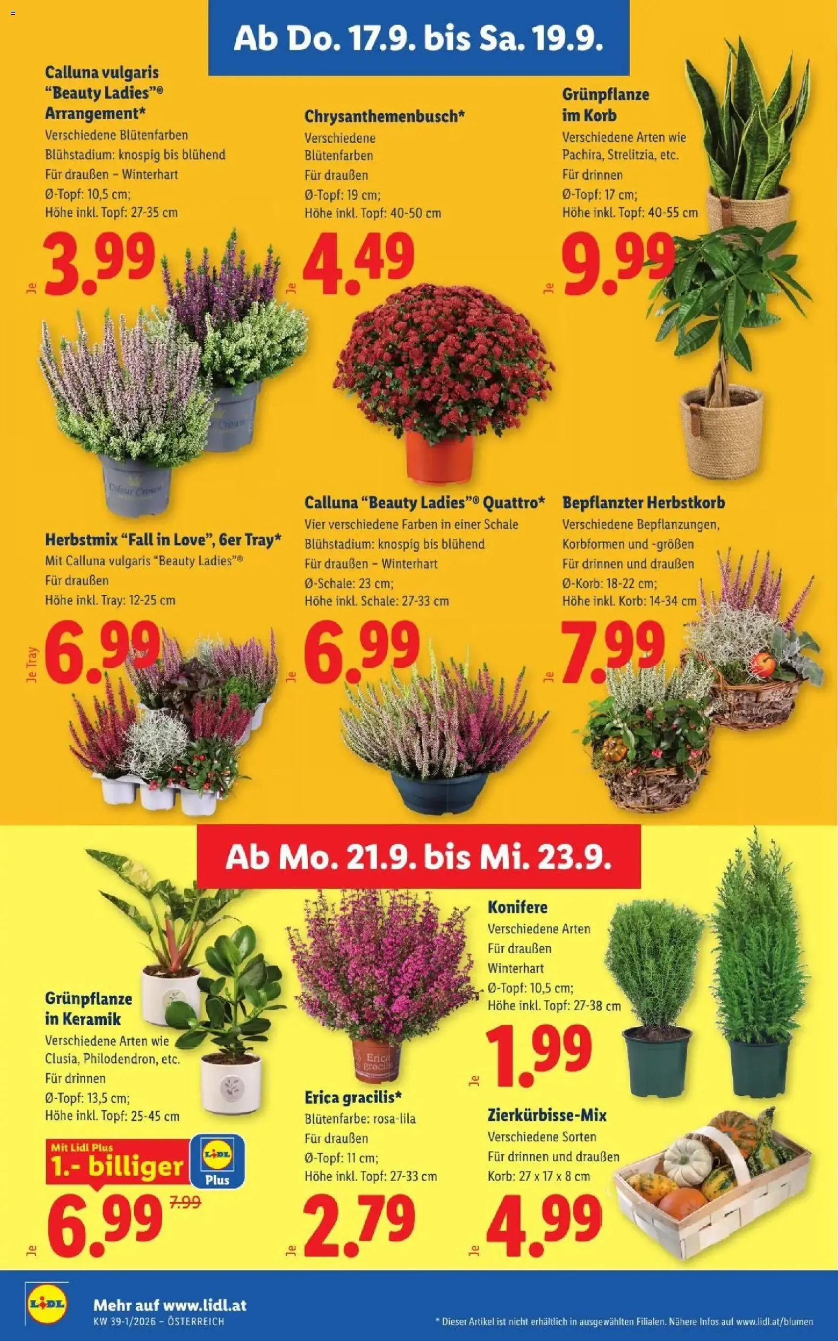 Lidl - Flugblatt - Gültiger Prospekt ab 17.09.2026, Seite 28 von insgesamt 54