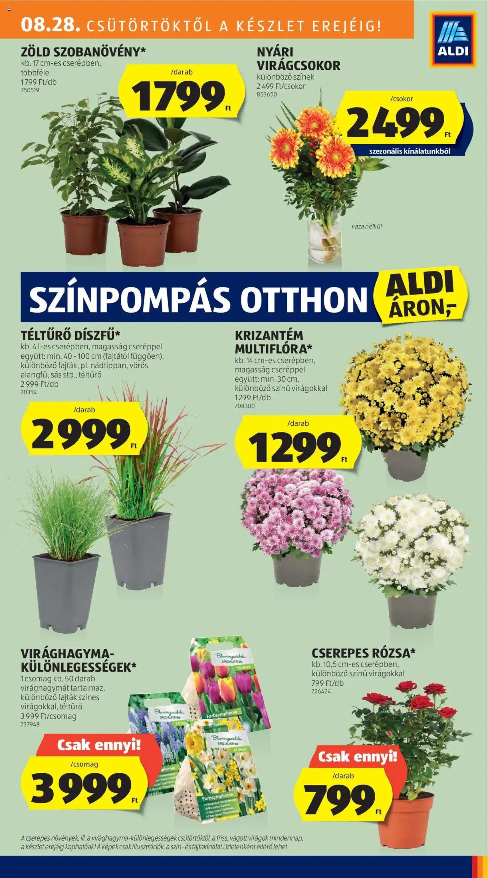 Aldi Akciós újság - 2025.08.28. érvényes szórólap 17 oldal 44 oldalból Aldi Akciós újság - 2025.08.28. érvényes szórólap 17 oldal 44 oldalból