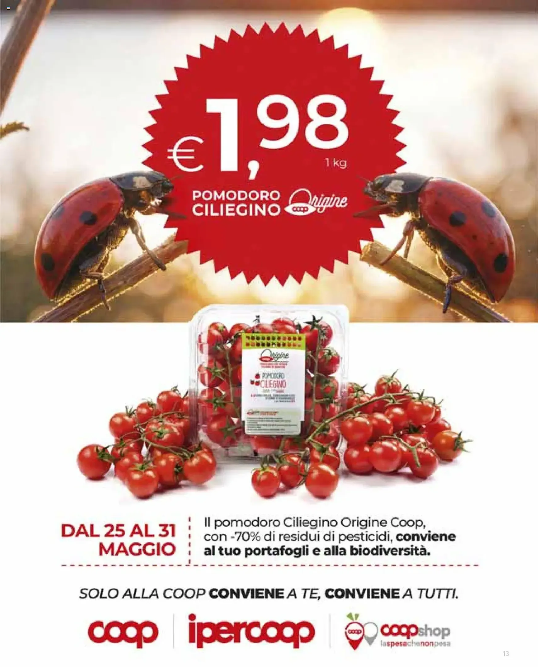 Ipercoop volantino - volantino valido dal 21/05/2026 pagina 13 di 41