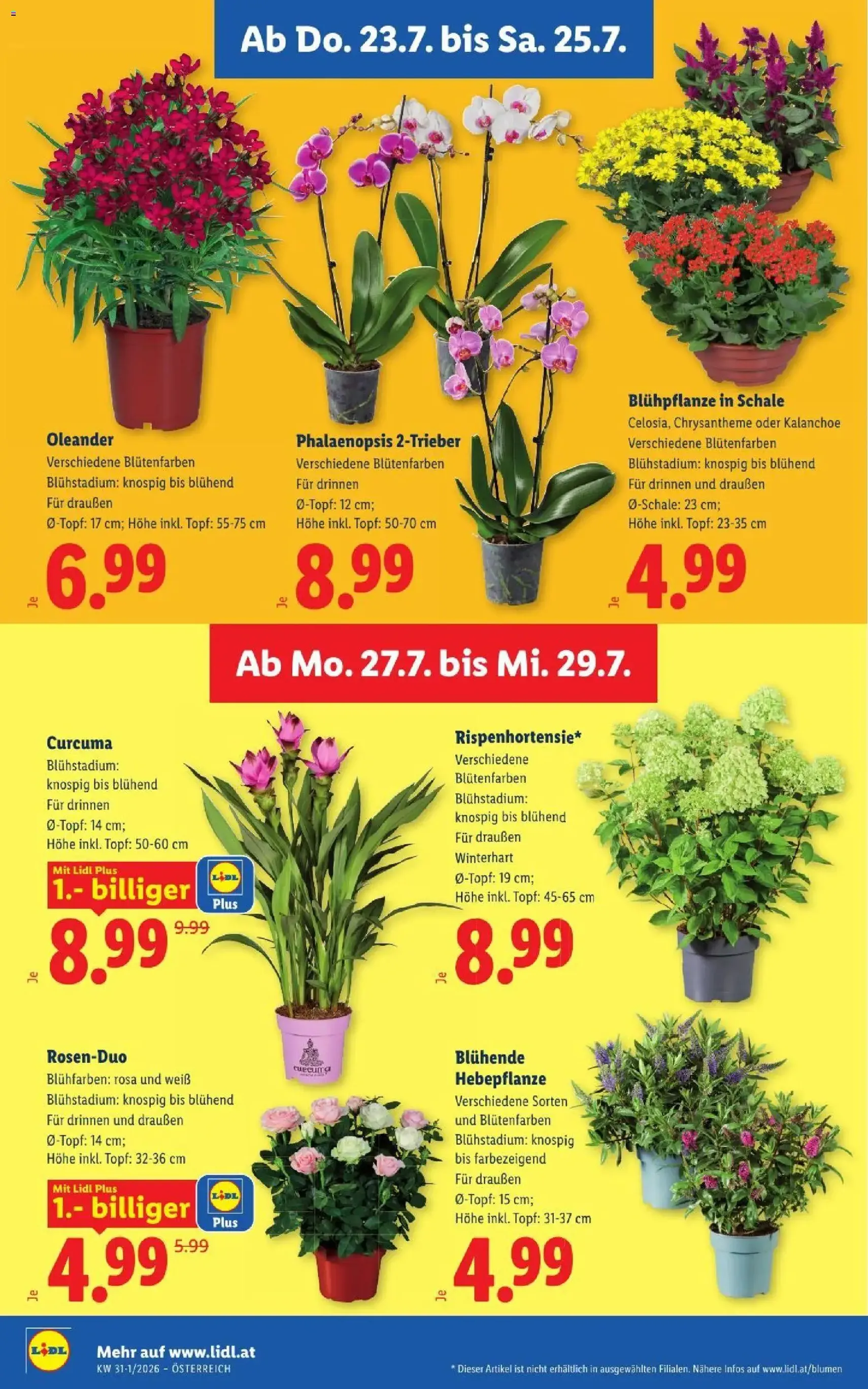 Lidl - Flugblatt - Gültiger Prospekt ab 23.07.2026, Seite 30 von insgesamt 55