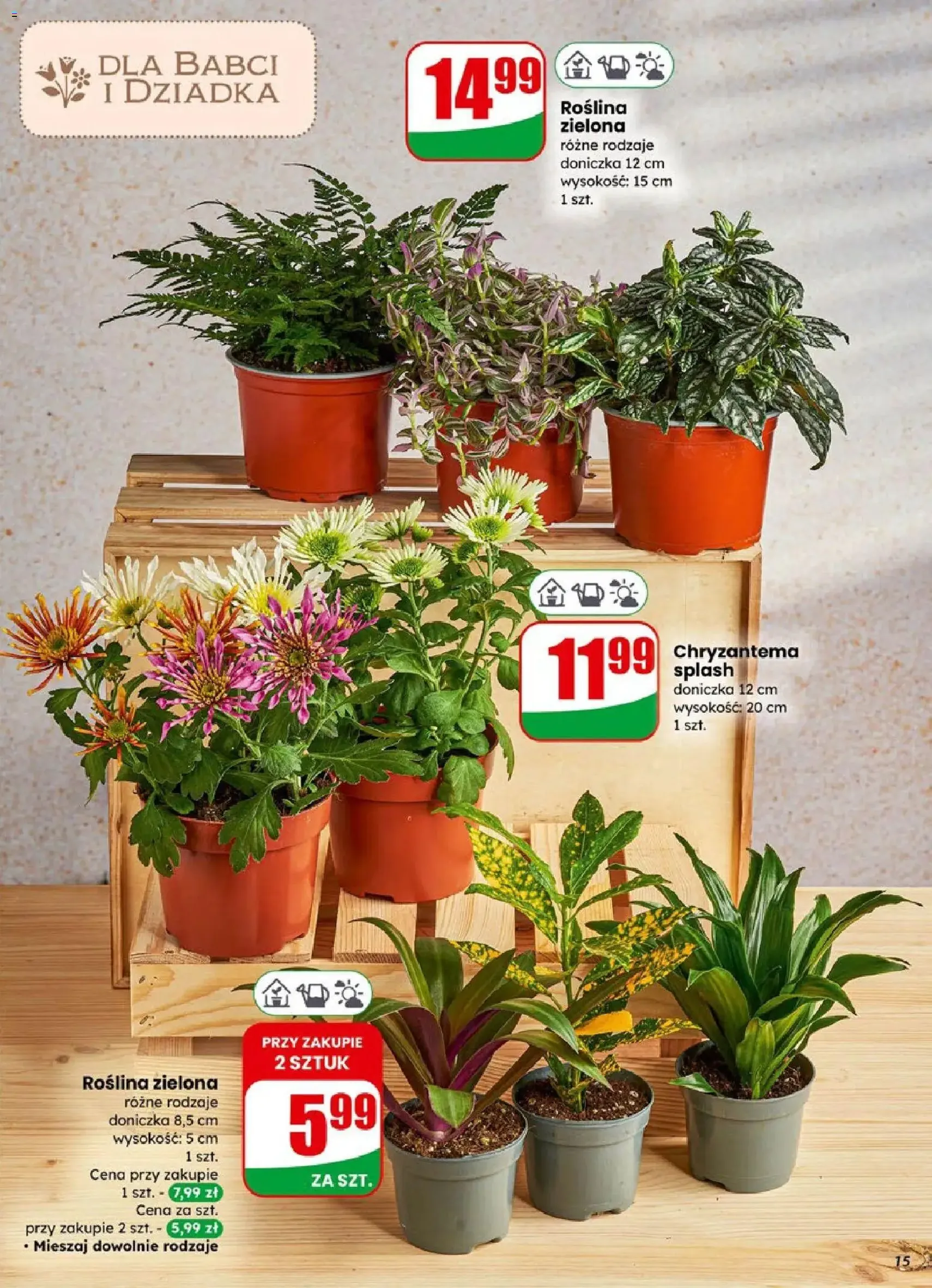 Dino Gazetka - ważny gazetka od 21.01.2026 strona 15 z 66