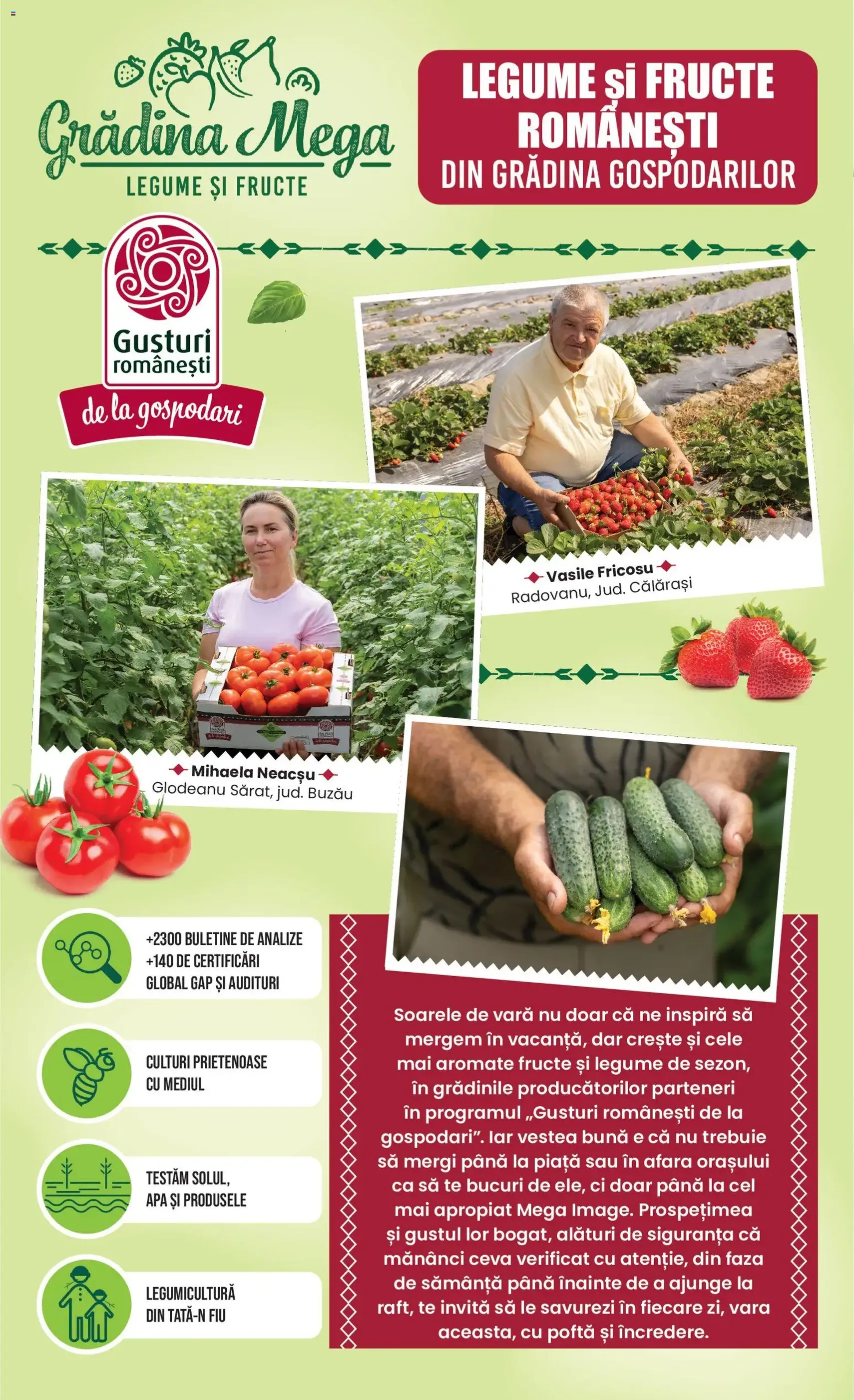 Mega Image Catalog - cataloage valabile începând cu 18.06.2026 pagina 10 din 24