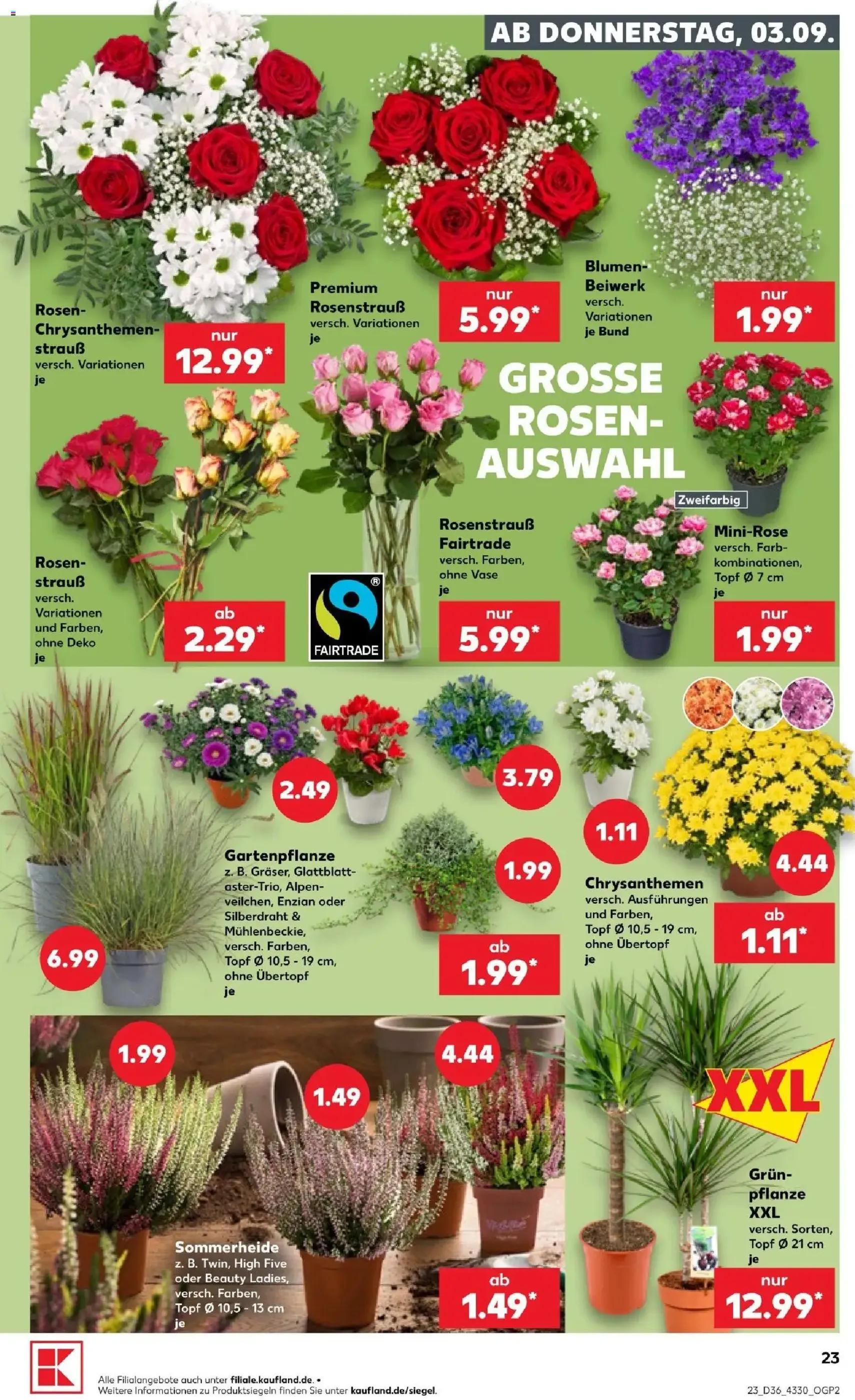 Kaufland Prospekt - Gültiger Prospekt ab 03.09.2026, Seite 25 von insgesamt 62