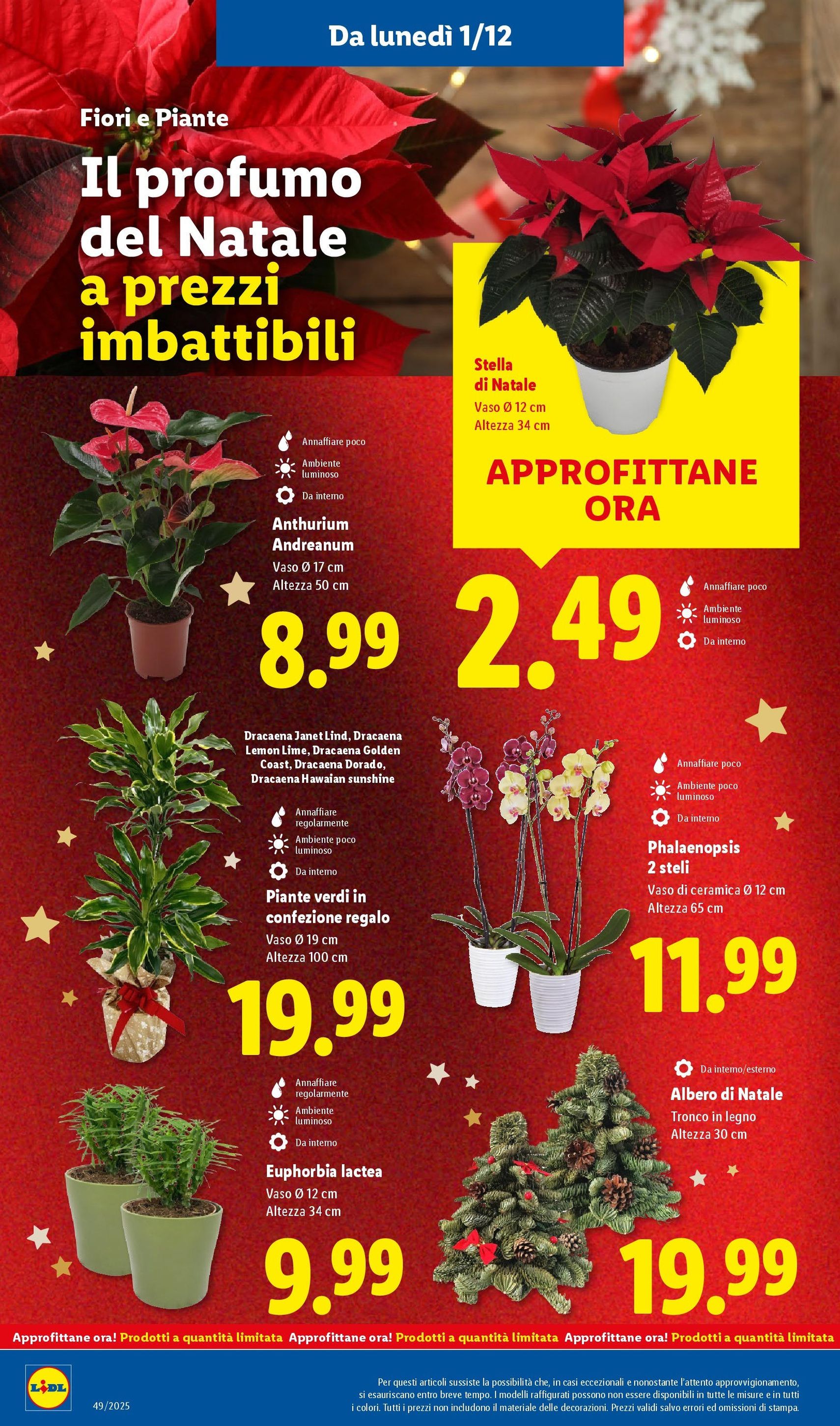 Volantino Lidl - volantino valido dal 01/12/2025 pagina 46 di 60