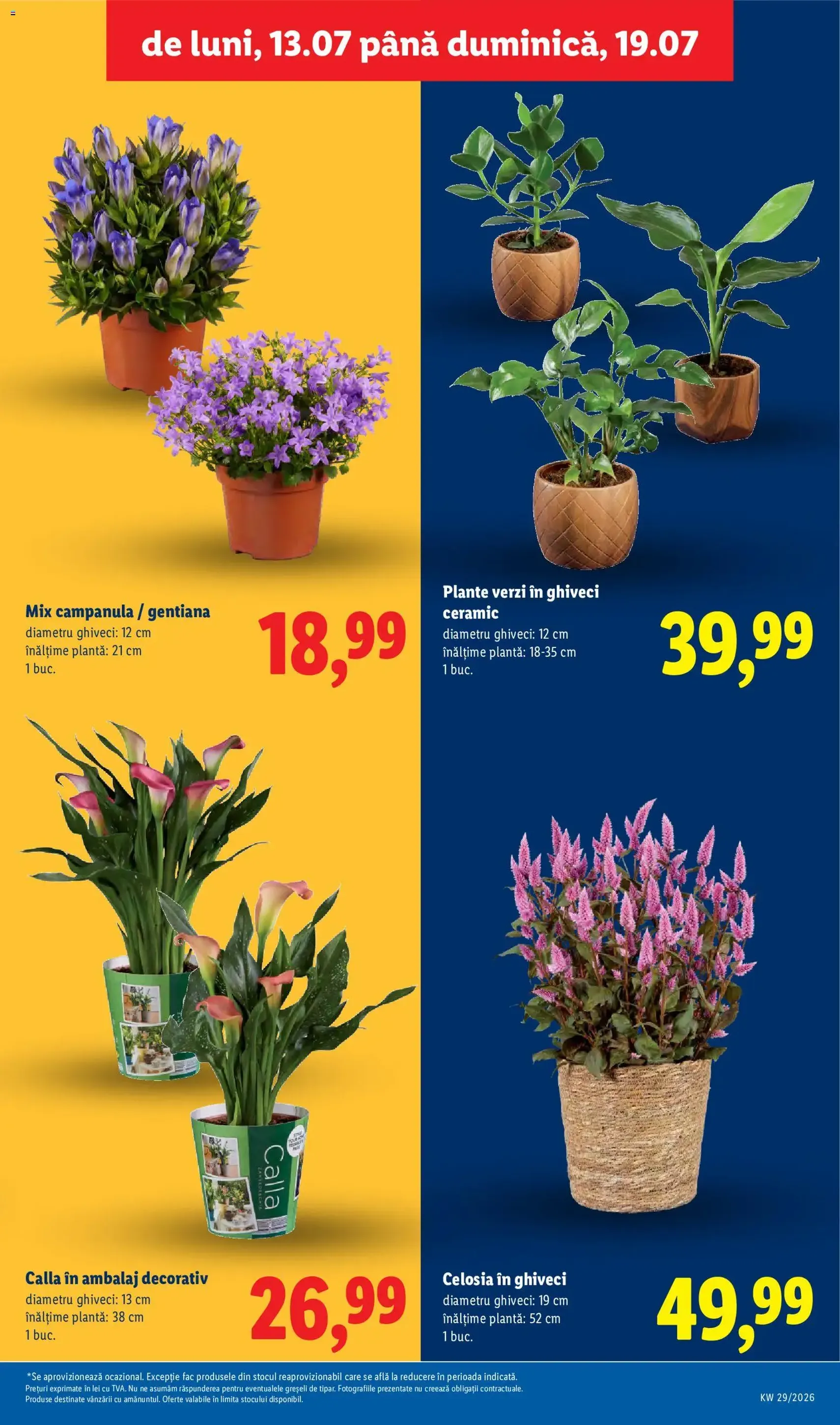 Lidl Catalog - cataloage valabile începând cu 13.07.2026 pagina 59 din 100