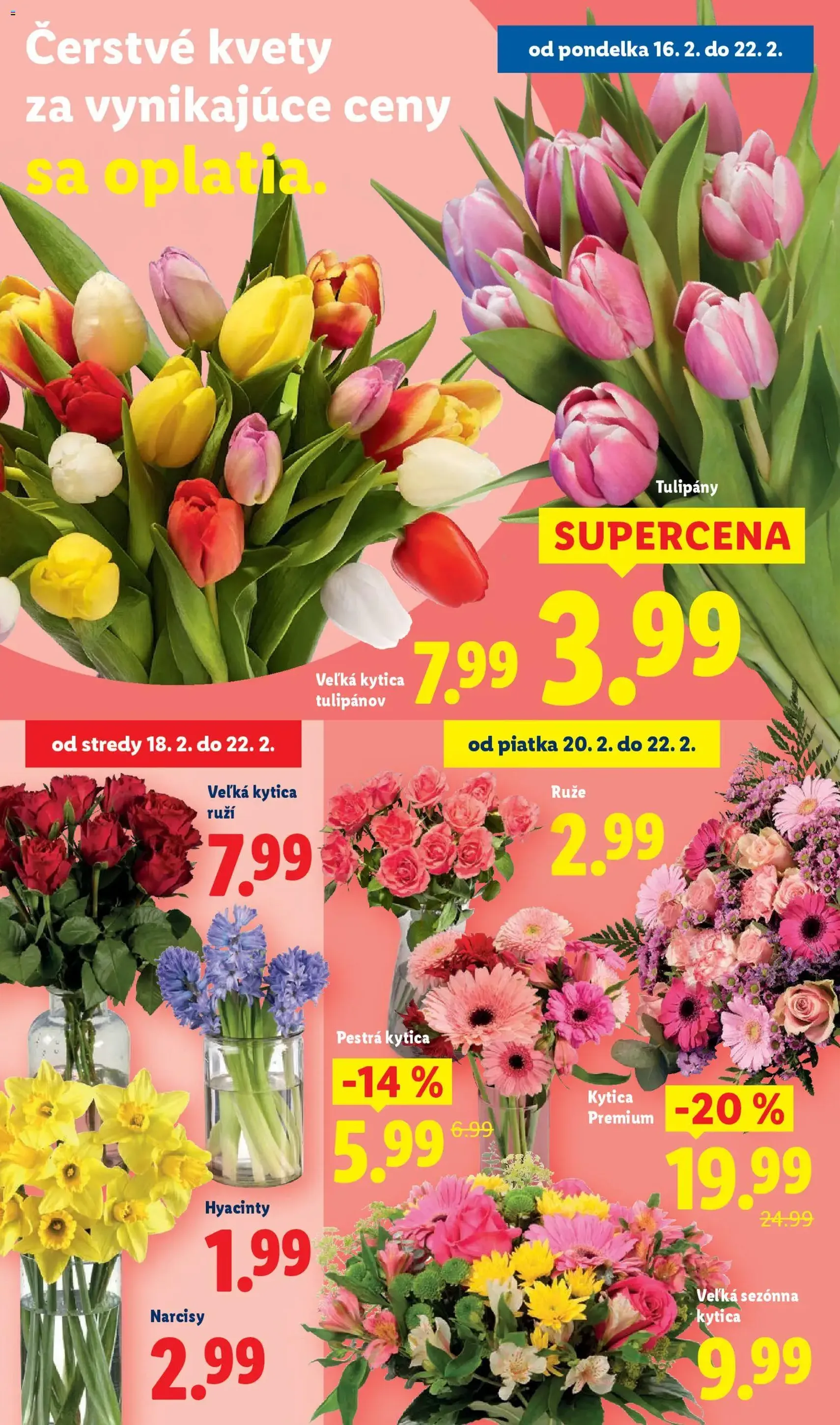 Lidl leták - platný leták od 19.02.2026 strana 70 z 94