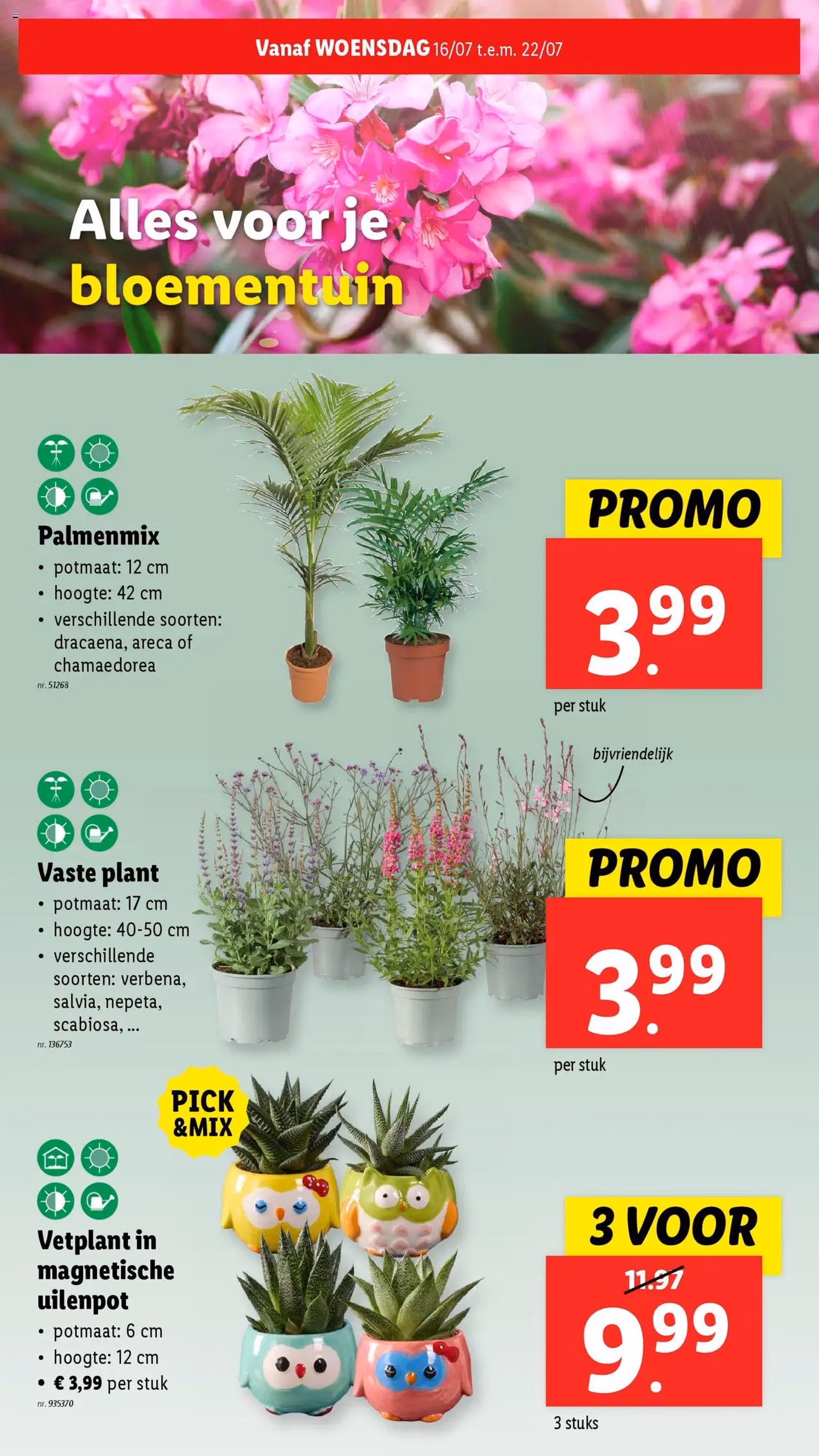 Lidl folder week 29 - geldige folder vanaf 16/07/2025 pagina 31 van 64