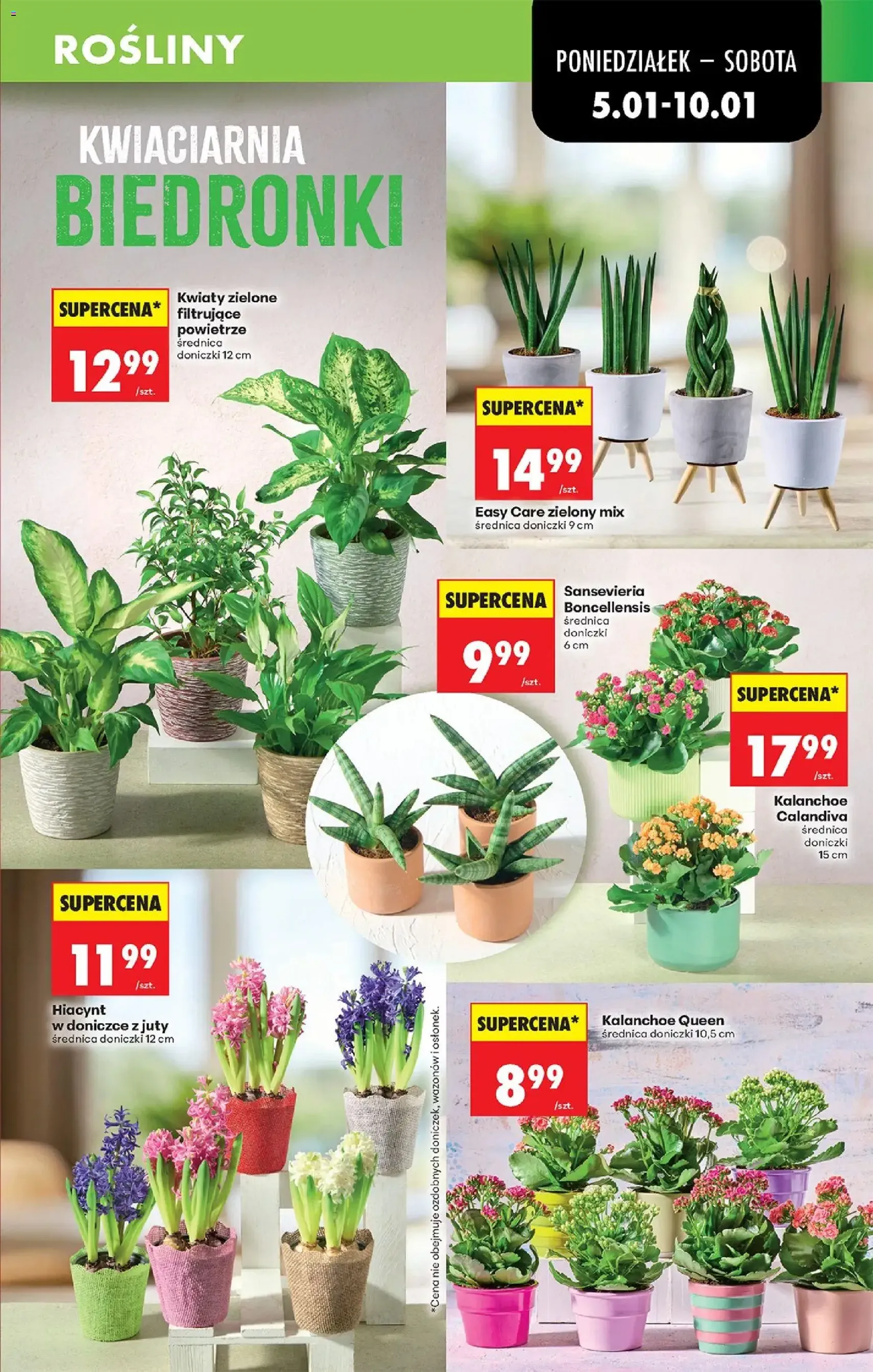 Biedronka gazetka - ważny gazetka od 05.01.2026 strona 23 z 80