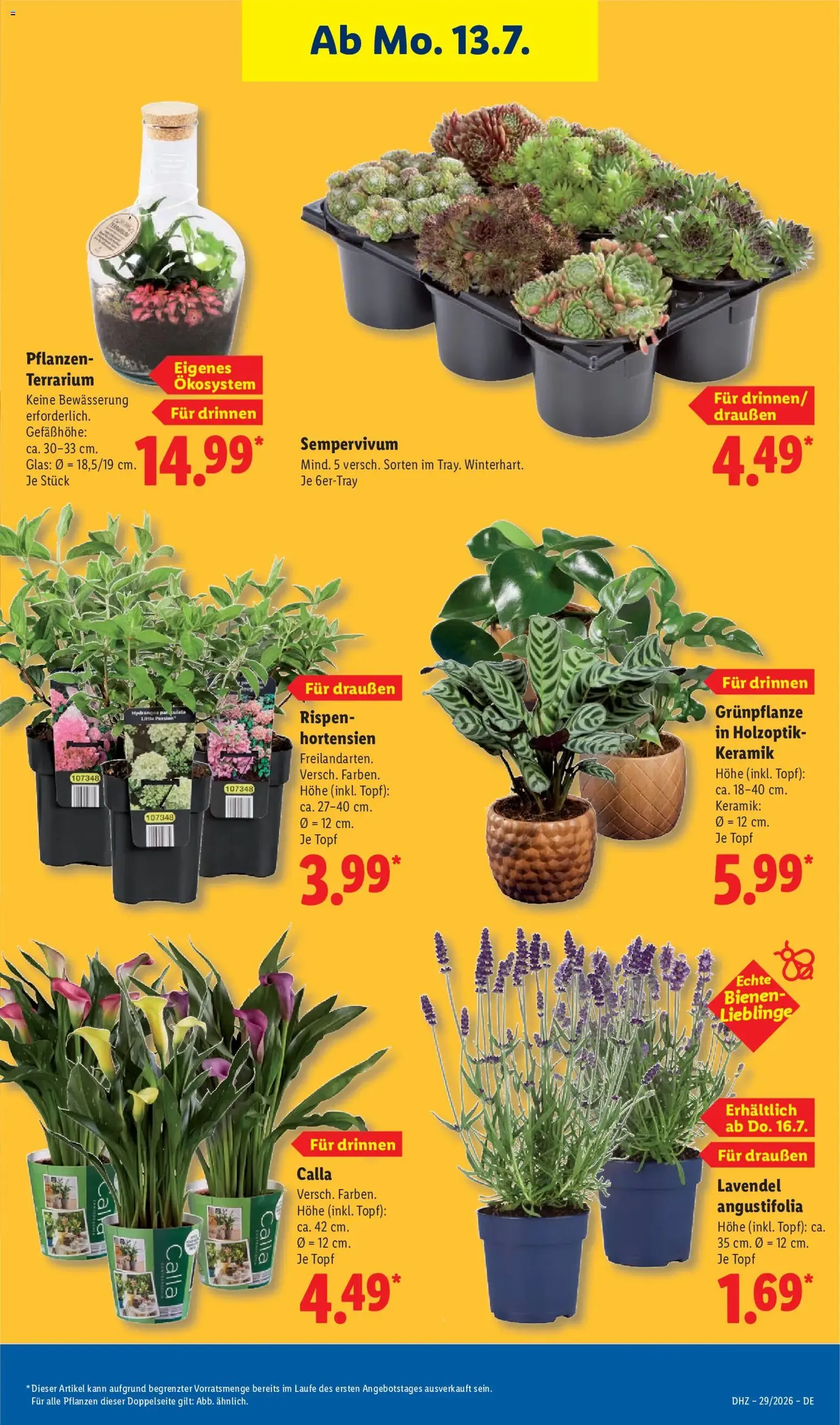 Lidl Prospekt - Gültiger Prospekt ab 13.07.2026, Seite 27 von insgesamt 72