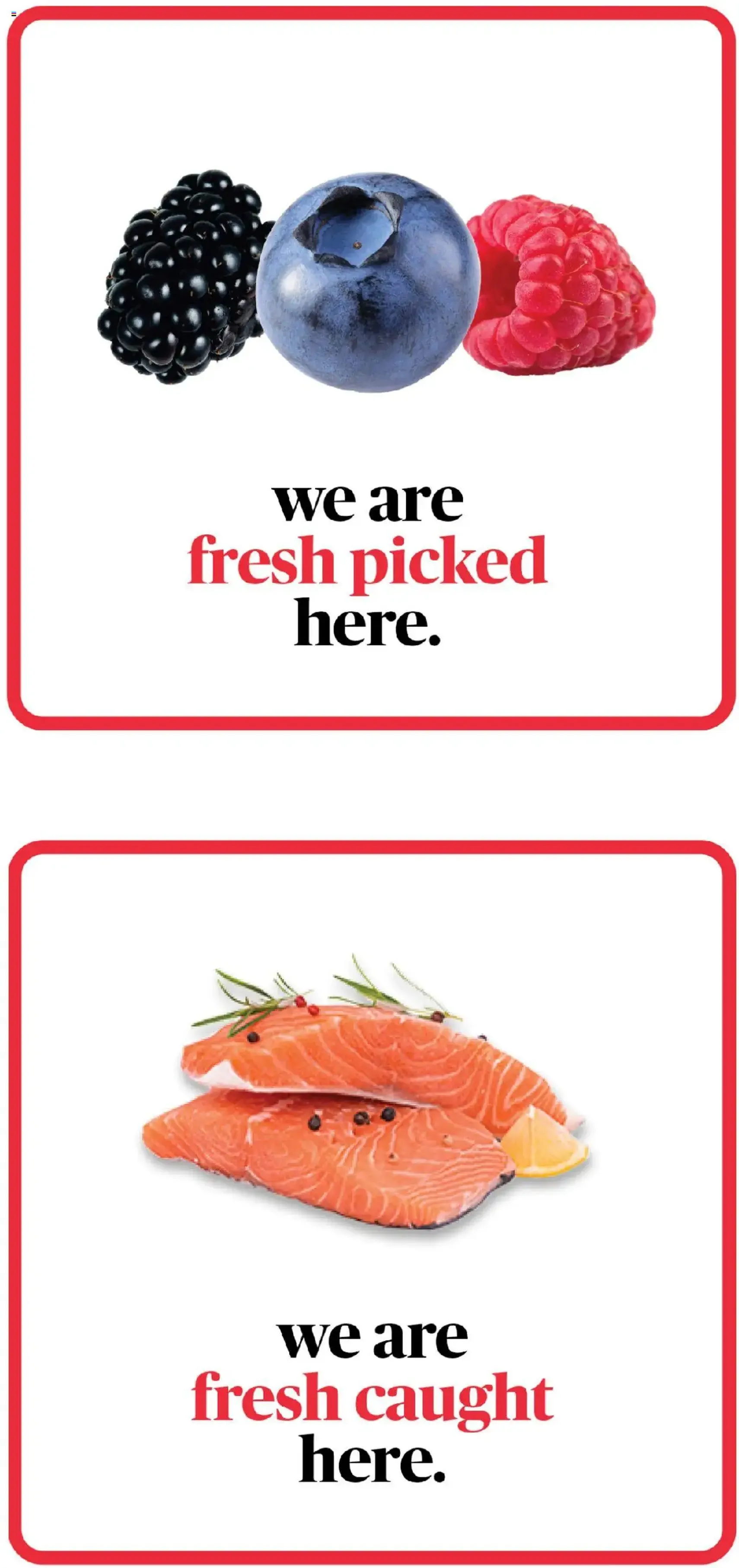 ShopRite Weekly Ad - valid flyer from 07/03/2025, page 3 of 11 ShopRite Weekly Ad - valid flyer from 07/03/2025, page 3 of 11