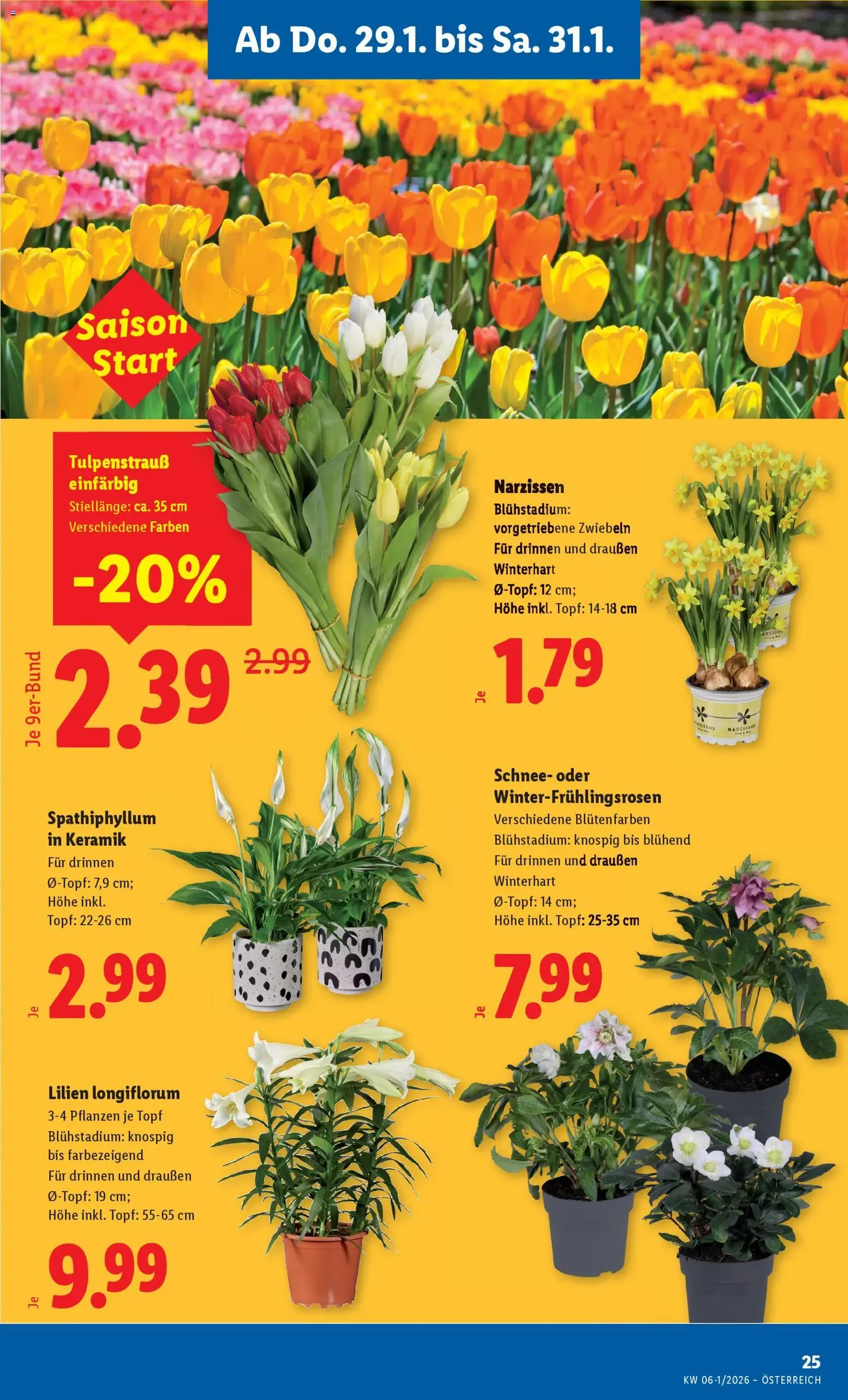 Lidl Flugblatt - Gültiger Prospekt ab 29.01.2026, Seite 27 von insgesamt 48