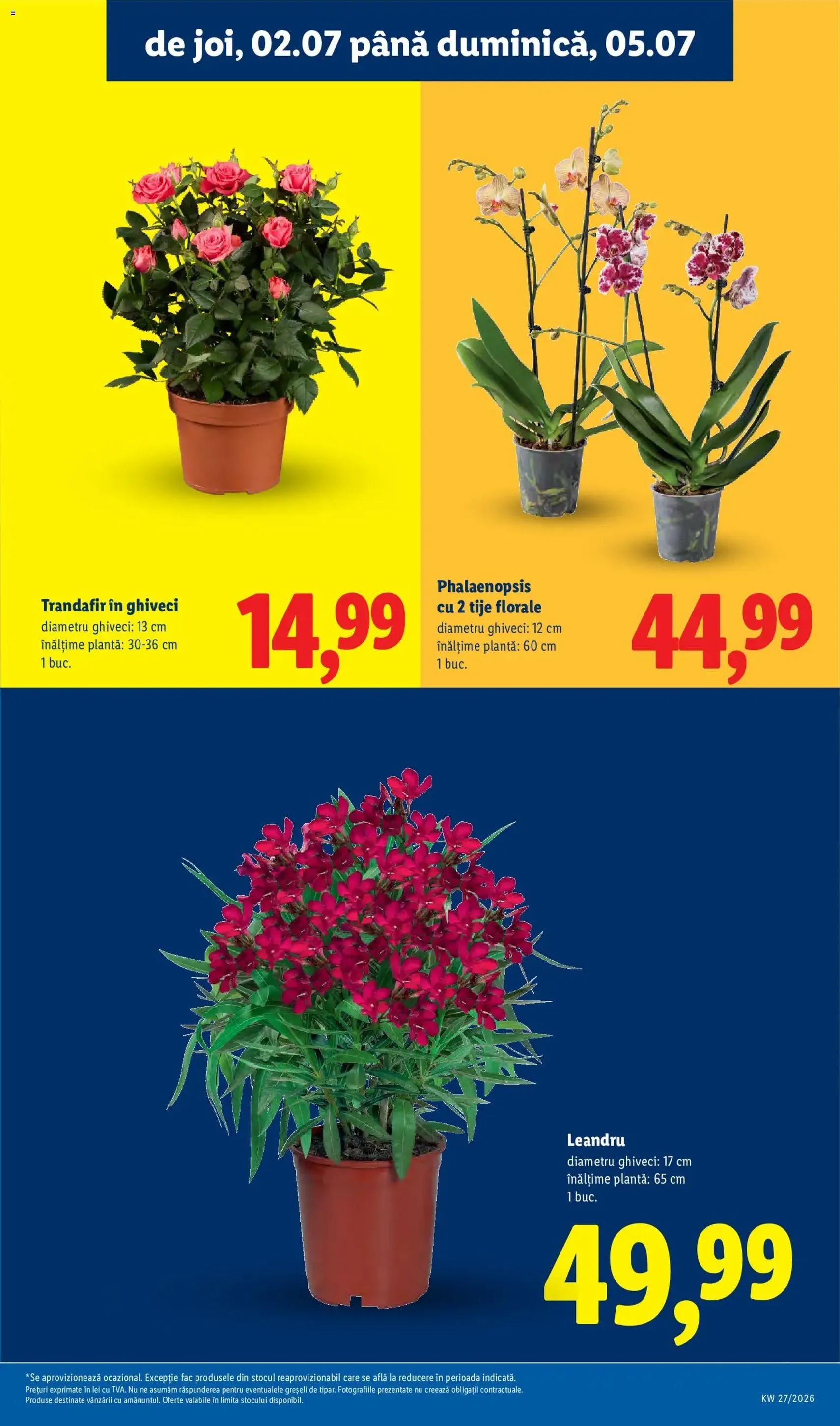 Lidl Catalog - cataloage valabile începând cu 29.06.2026 pagina 57 din 96