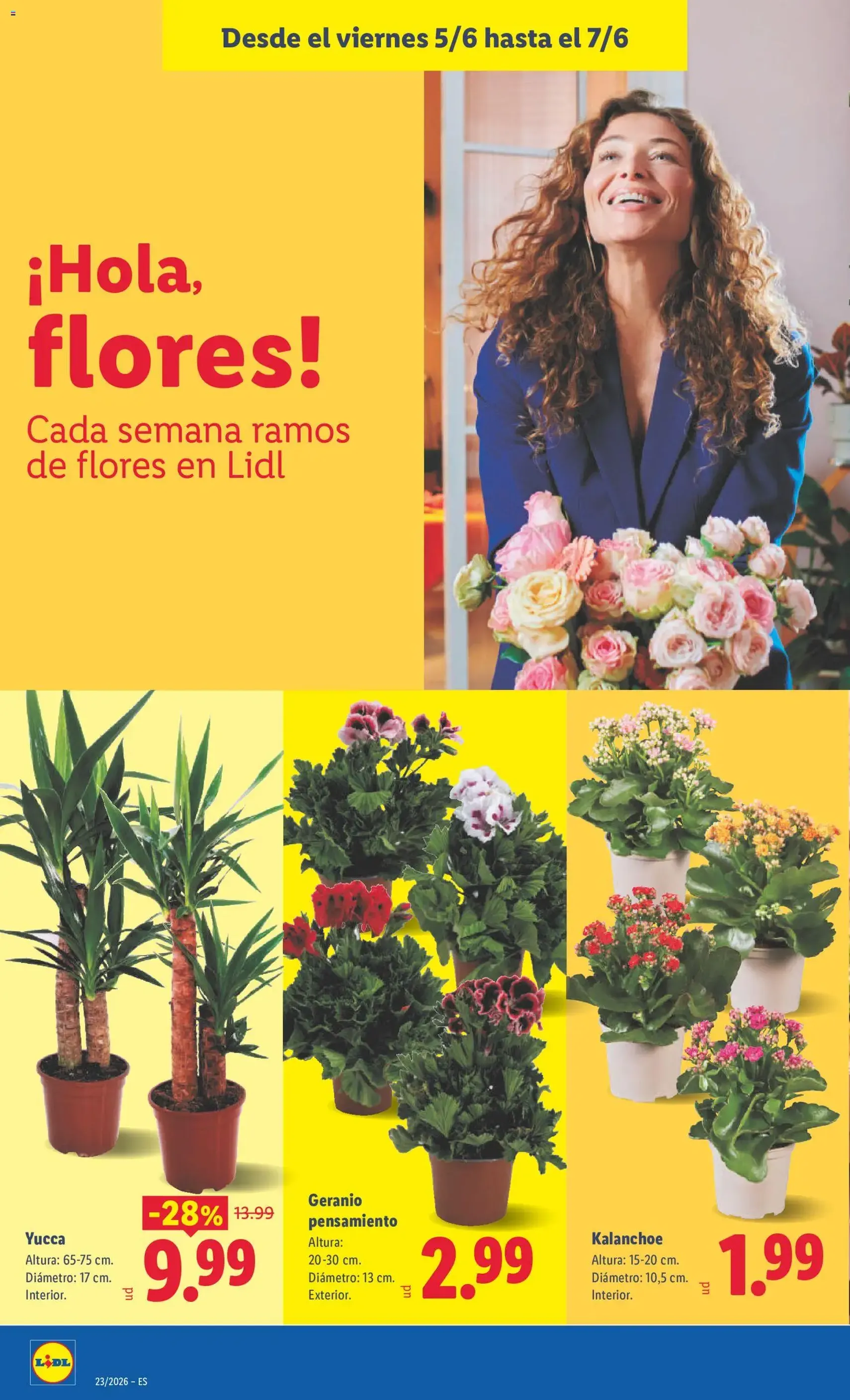 Lidl folleto - folleto válido desde 01/06/2026 página 42 de 45