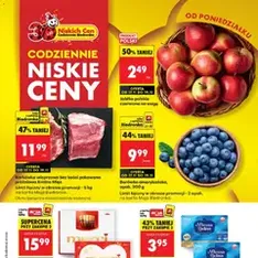 Biedronka gazetka - podgląd gazetki ważnej od 17.11.2025